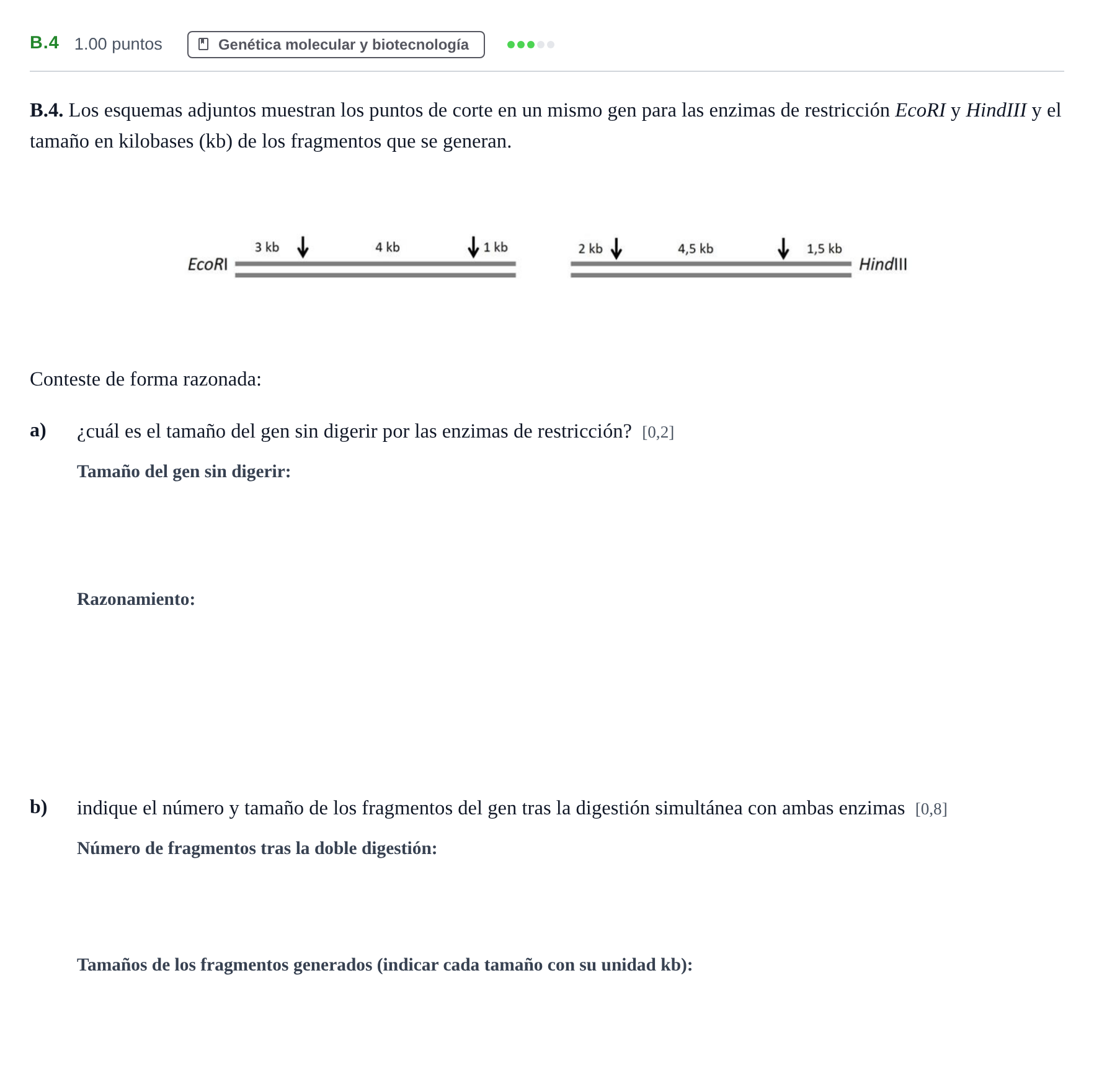 Enunciado: Ejercicio B.4 · Biología PAU Andalucía Extraordinaria Suplente 2024