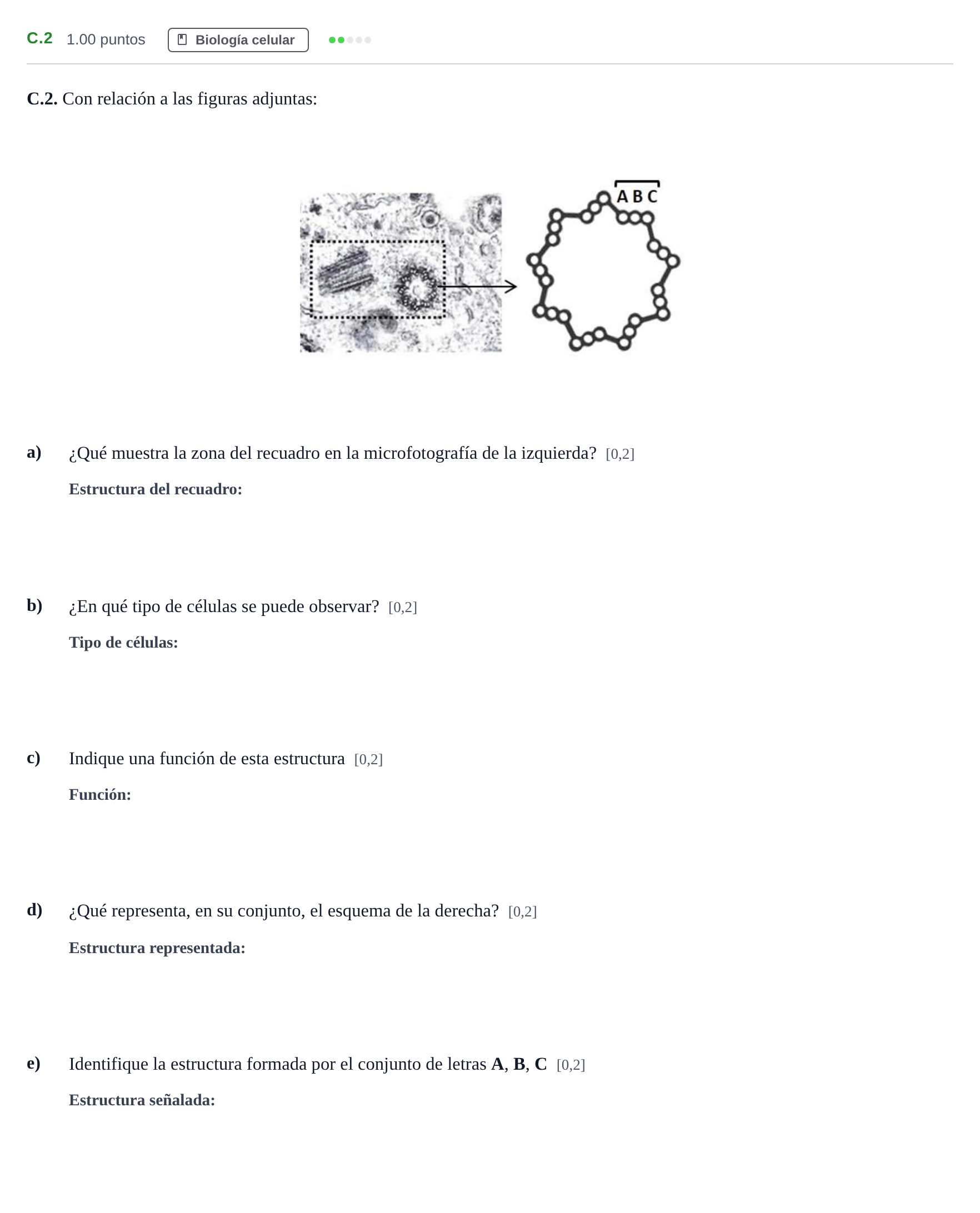Enunciado: Ejercicio C.2 · Biología PAU Andalucía Extraordinaria Suplente 2024