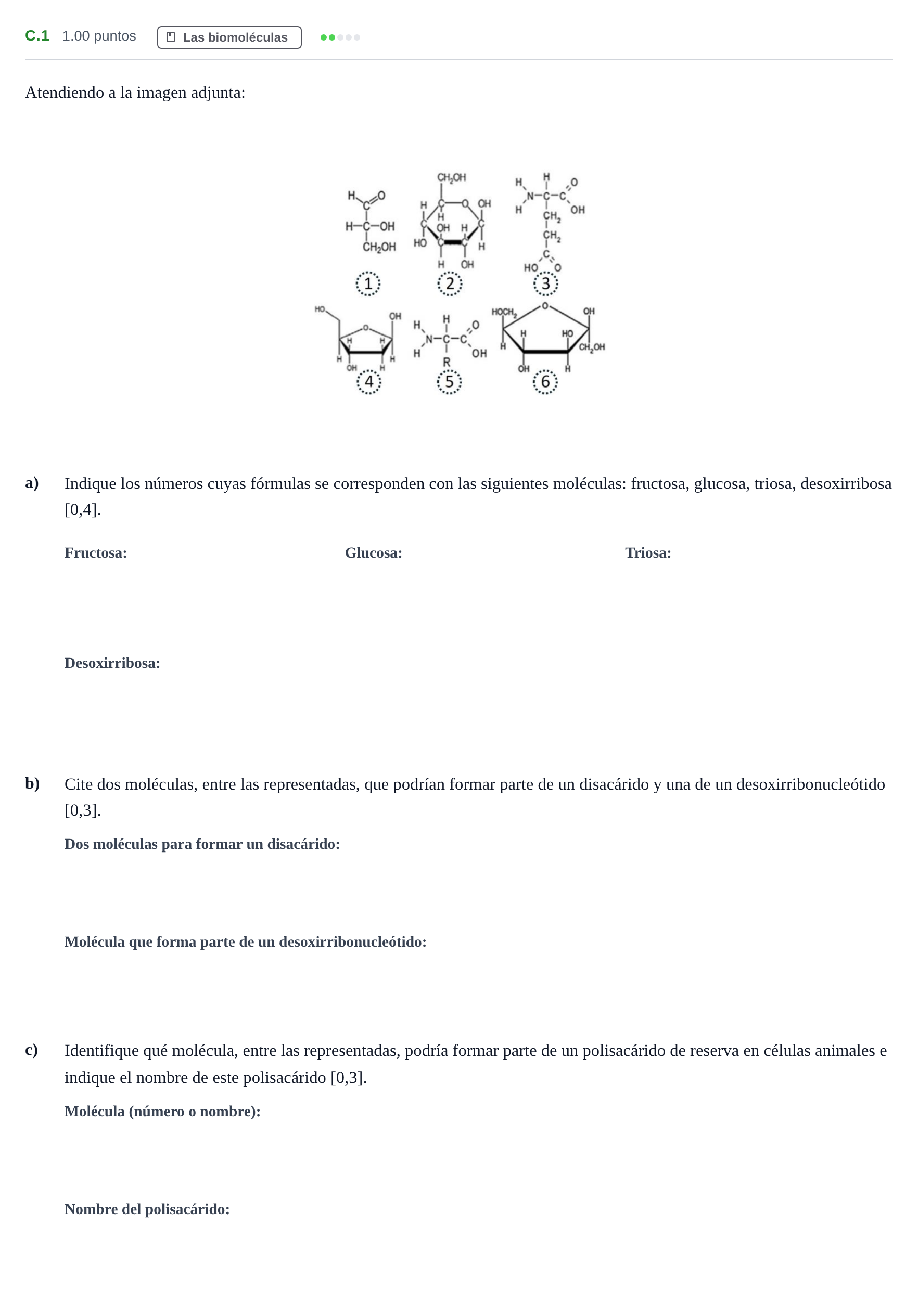 Enunciado: Ejercicio C.1 · Biología PAU Andalucía Extraordinaria Titular 2024