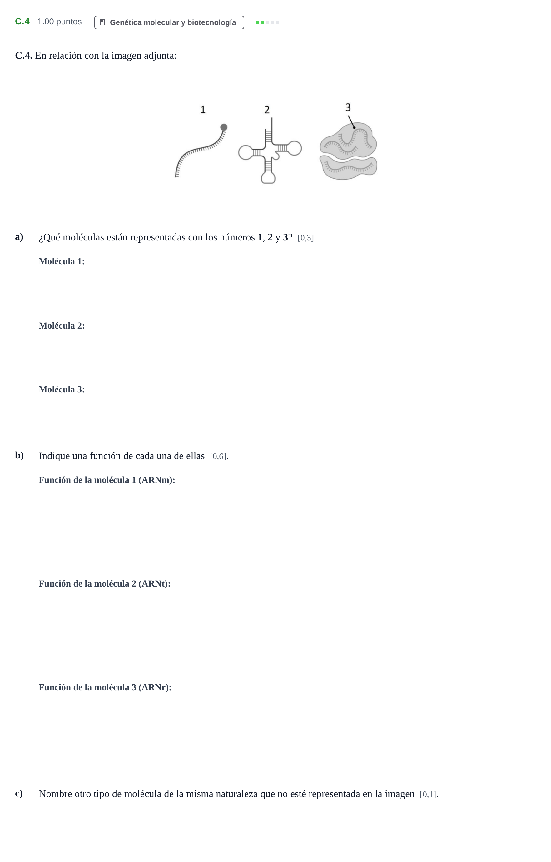 Enunciado: Ejercicio C.4 · Biología PAU Andalucía Extraordinaria Titular 2024