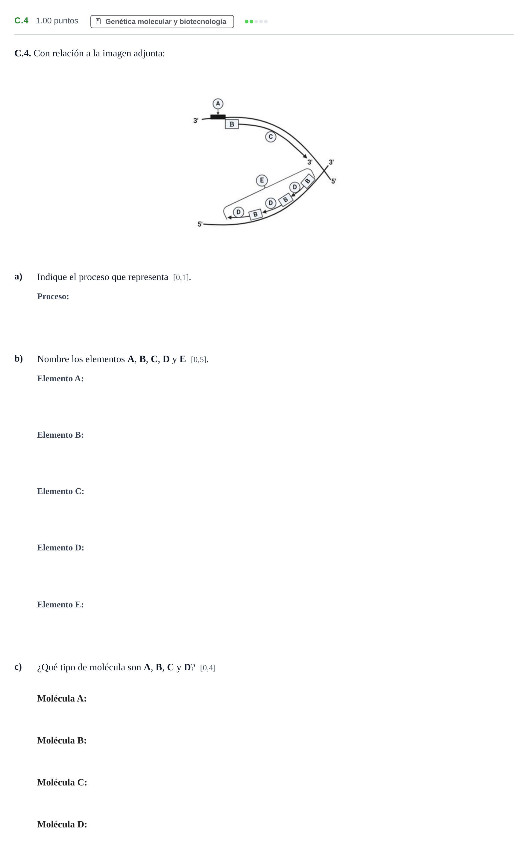 Enunciado: Ejercicio C.4 · Biología PAU Andalucía Ordinaria Titular 2024