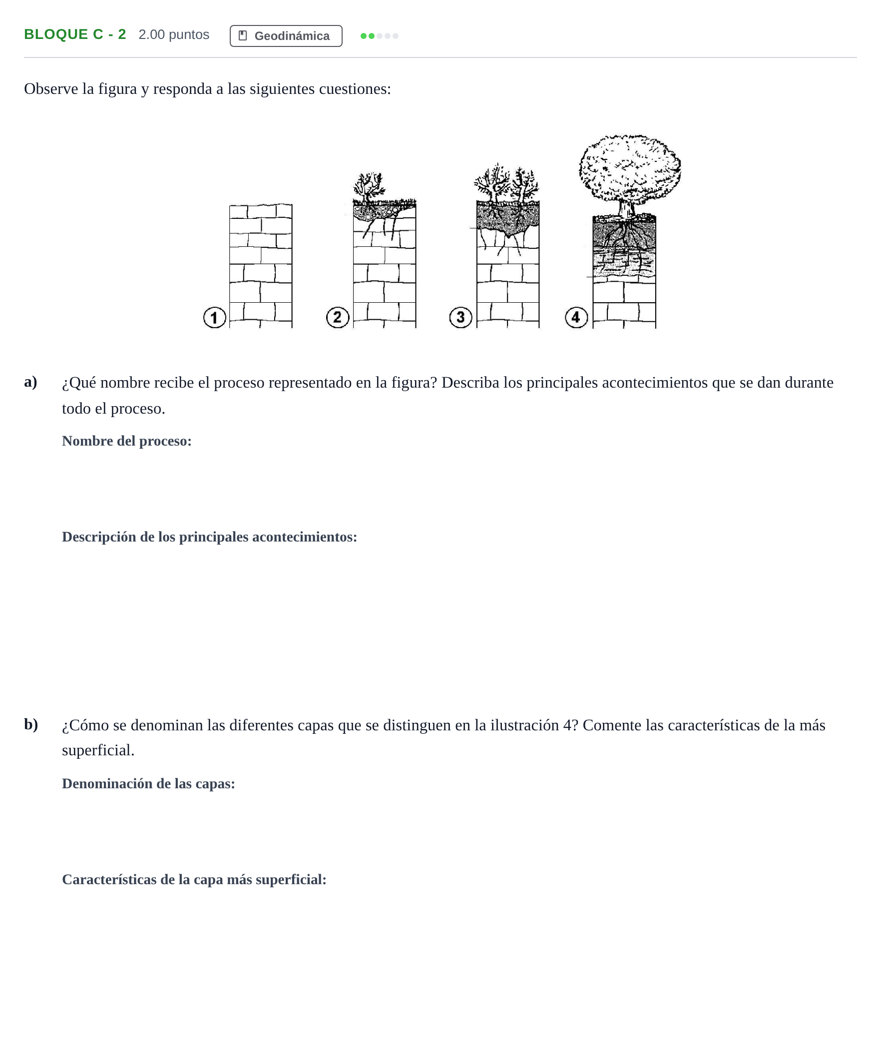 Enunciado: Bloque C - 2 · Geología PAU Andalucía Ordinaria Reserva 2024