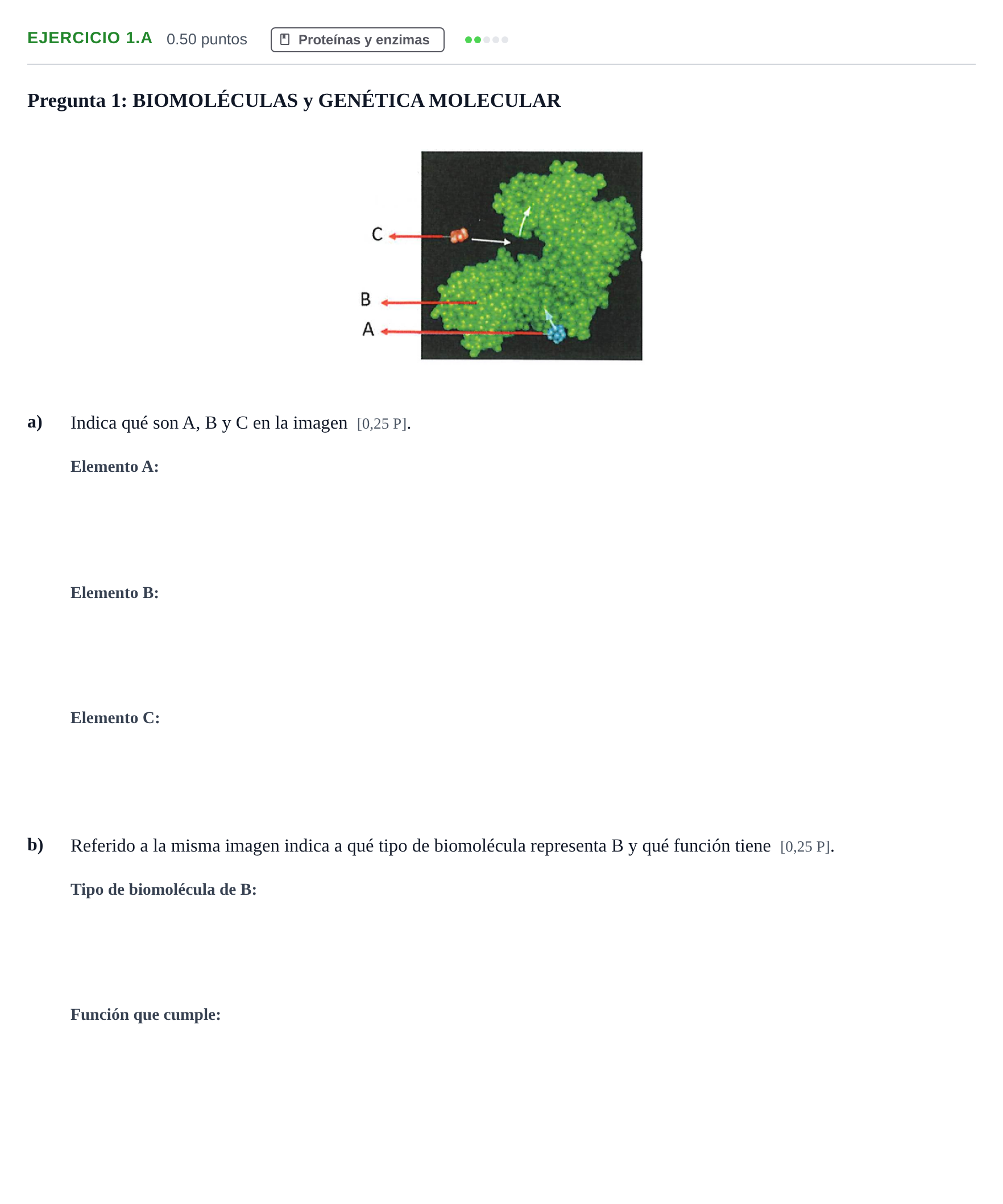 Enunciado: Ejercicio 1.A - Proteínas y enzimas · Biología PAU Navarra Ordinaria 2026