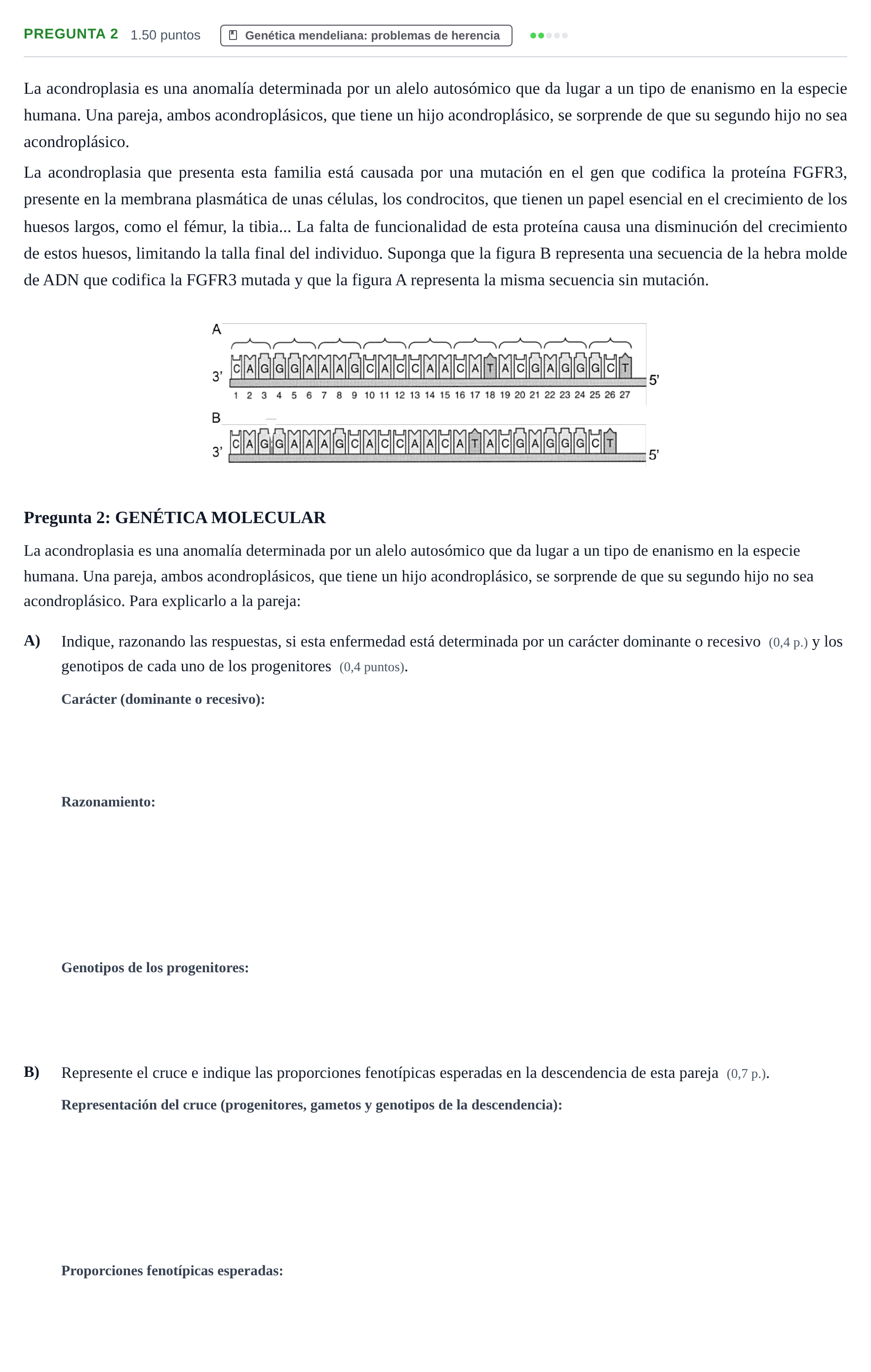 Enunciado: Pregunta 2 - Genética mendeliana · Biología PAU Murcia Extraordinaria 2026