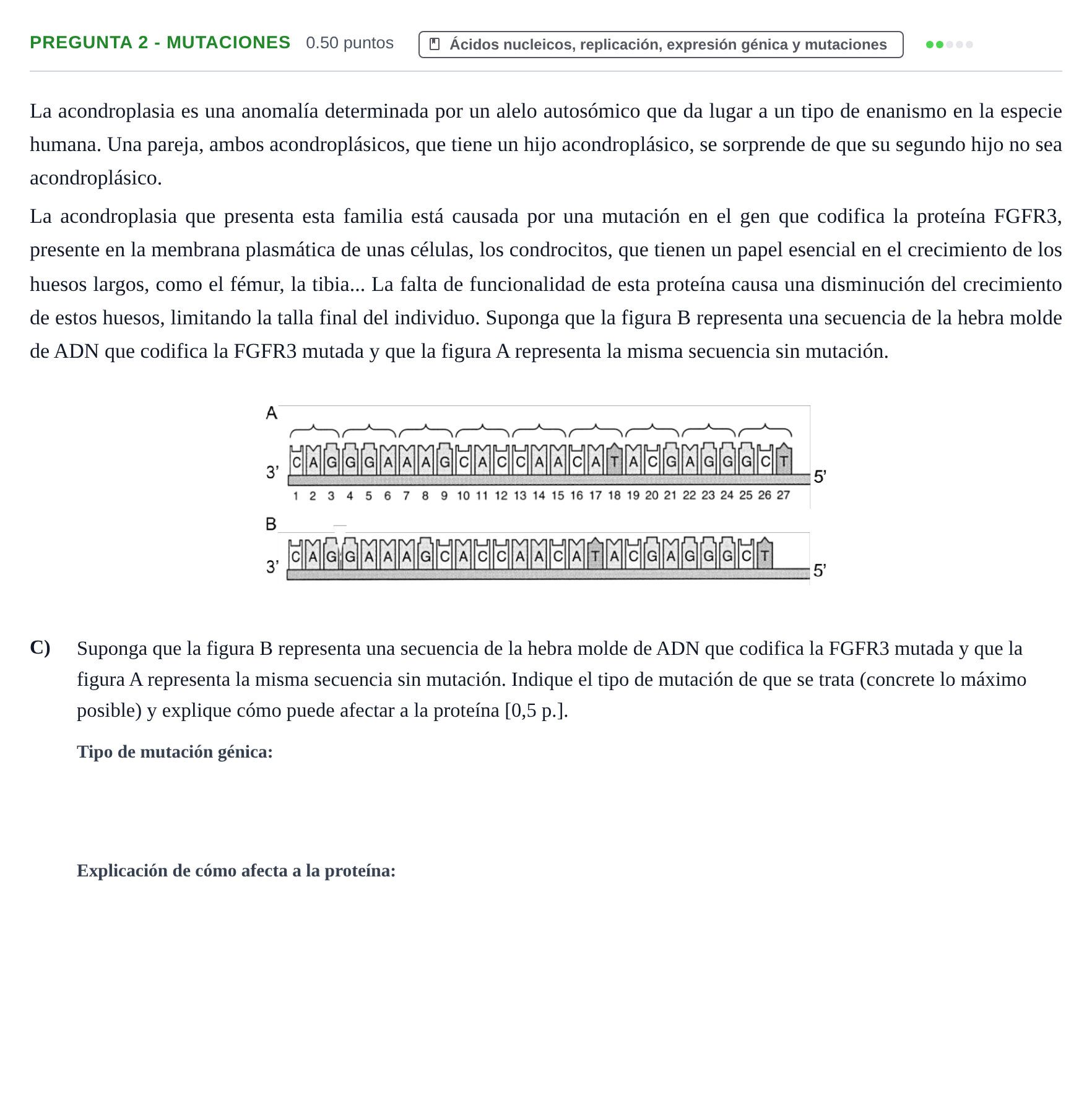 Enunciado: Pregunta 2 - Mutaciones · Biología PAU Murcia Extraordinaria 2026