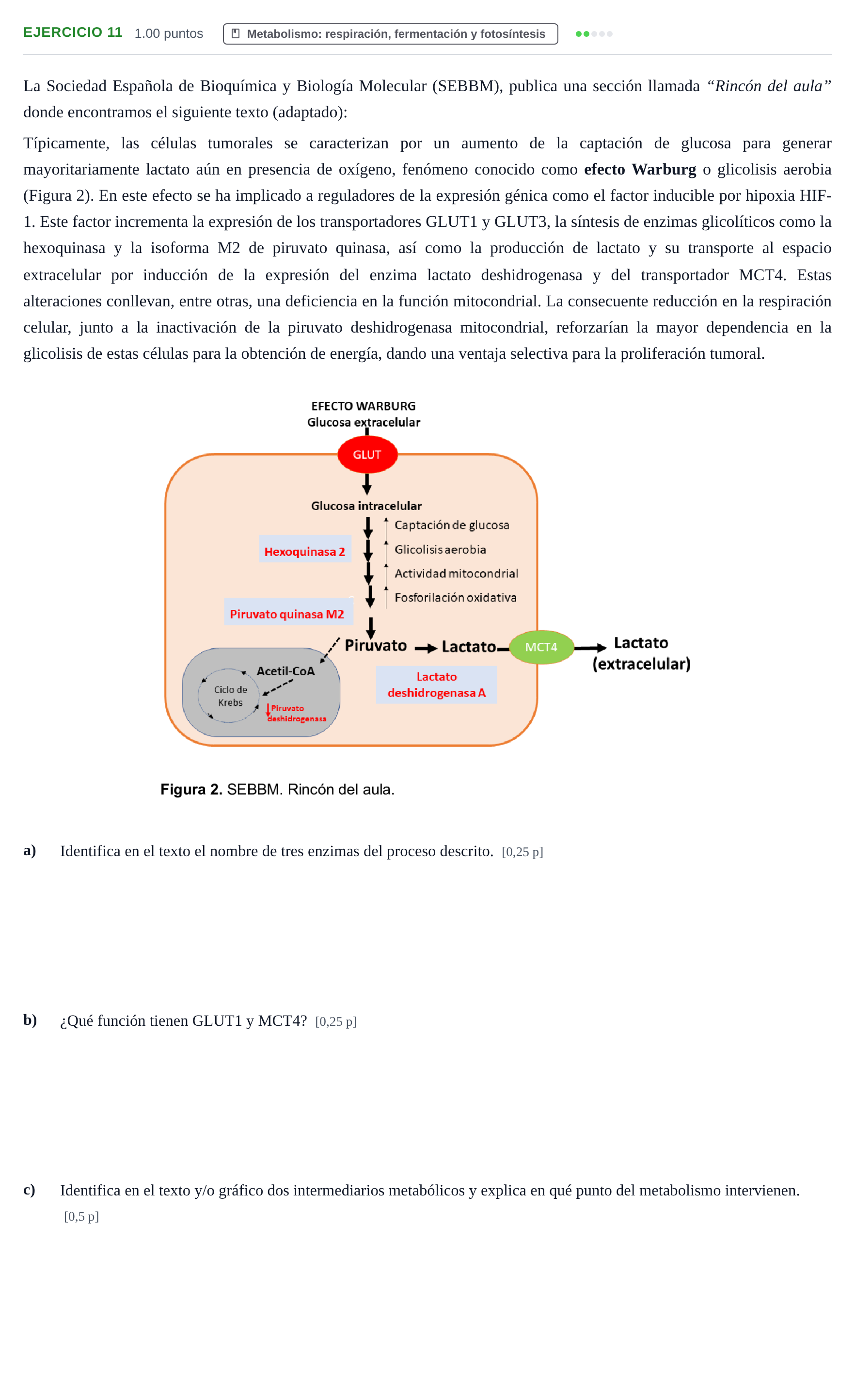 Enunciado: Problema 11 · Biología PAU Navarra Ordinaria 2025