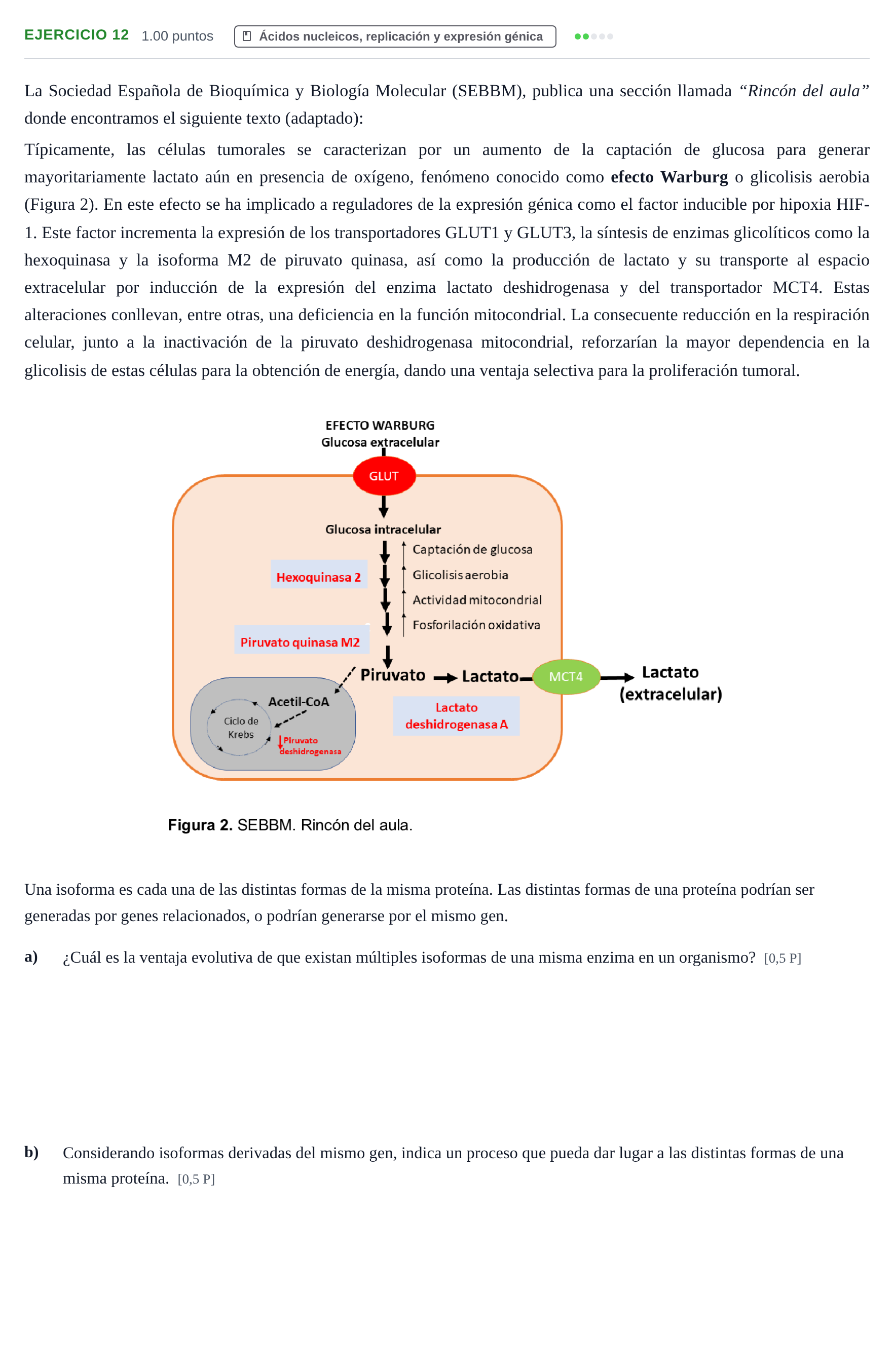 Enunciado: Problema 12 · Biología PAU Navarra Ordinaria 2025
