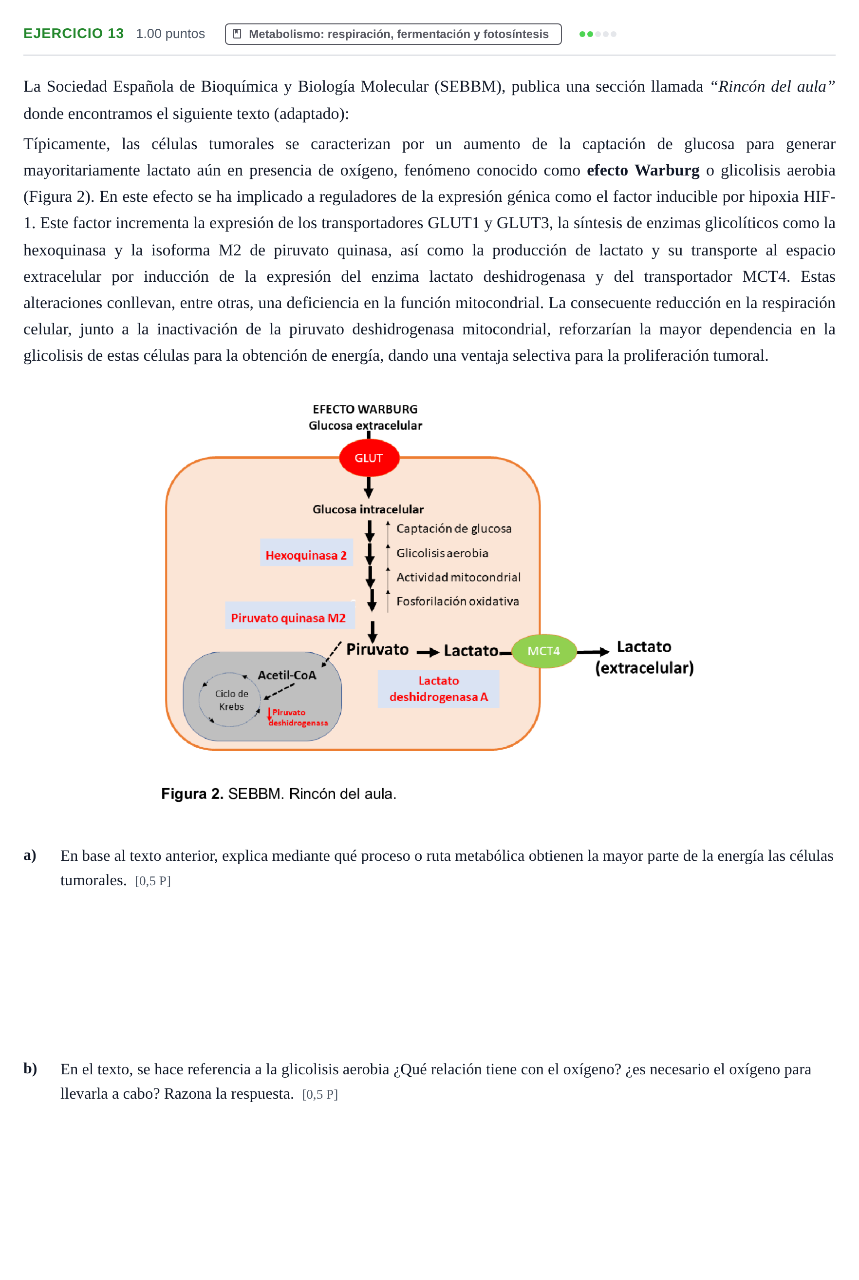 Enunciado: Problema 13 · Biología PAU Navarra Ordinaria 2025