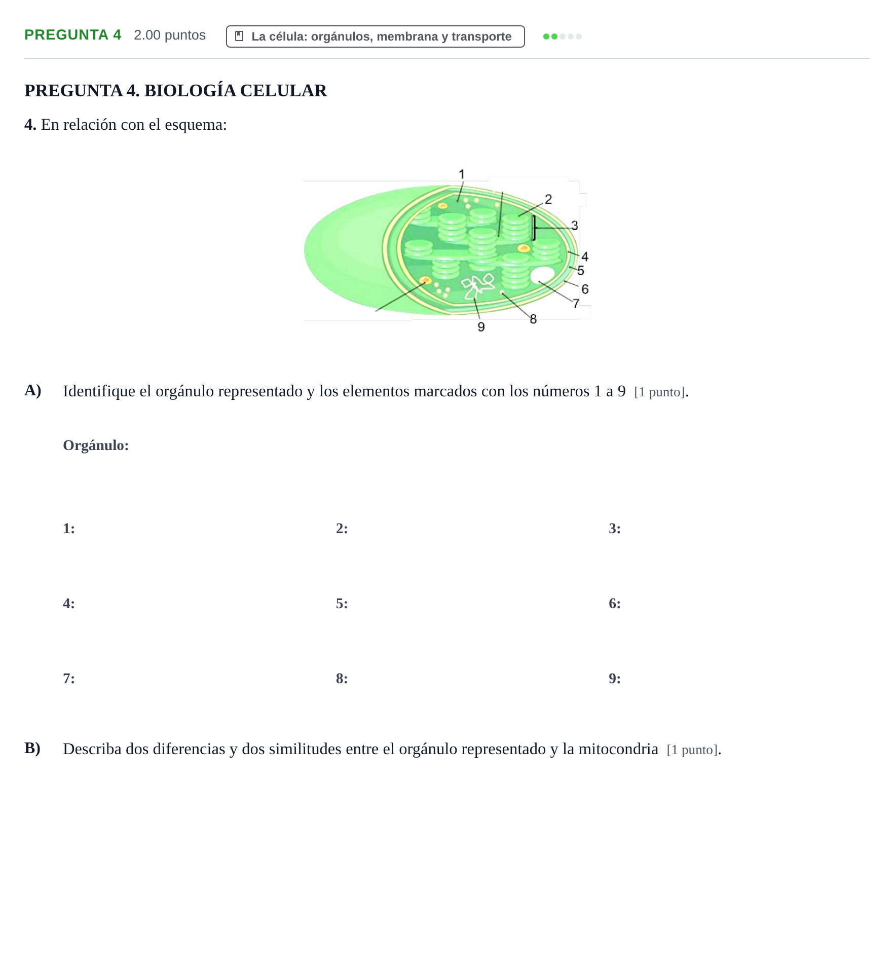 Enunciado: Pregunta 4 · Biología PAU Murcia Extraordinaria 2025