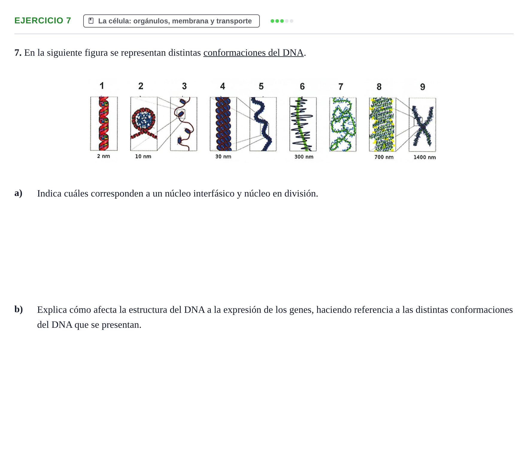 Enunciado: Problema 7 · Biología PAU Navarra Ordinaria 2024