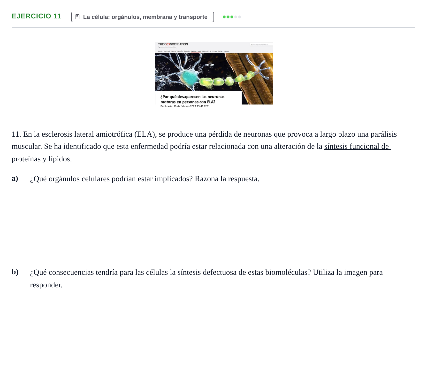 Enunciado: Problema 11 · Biología PAU Navarra Extraordinaria 2024