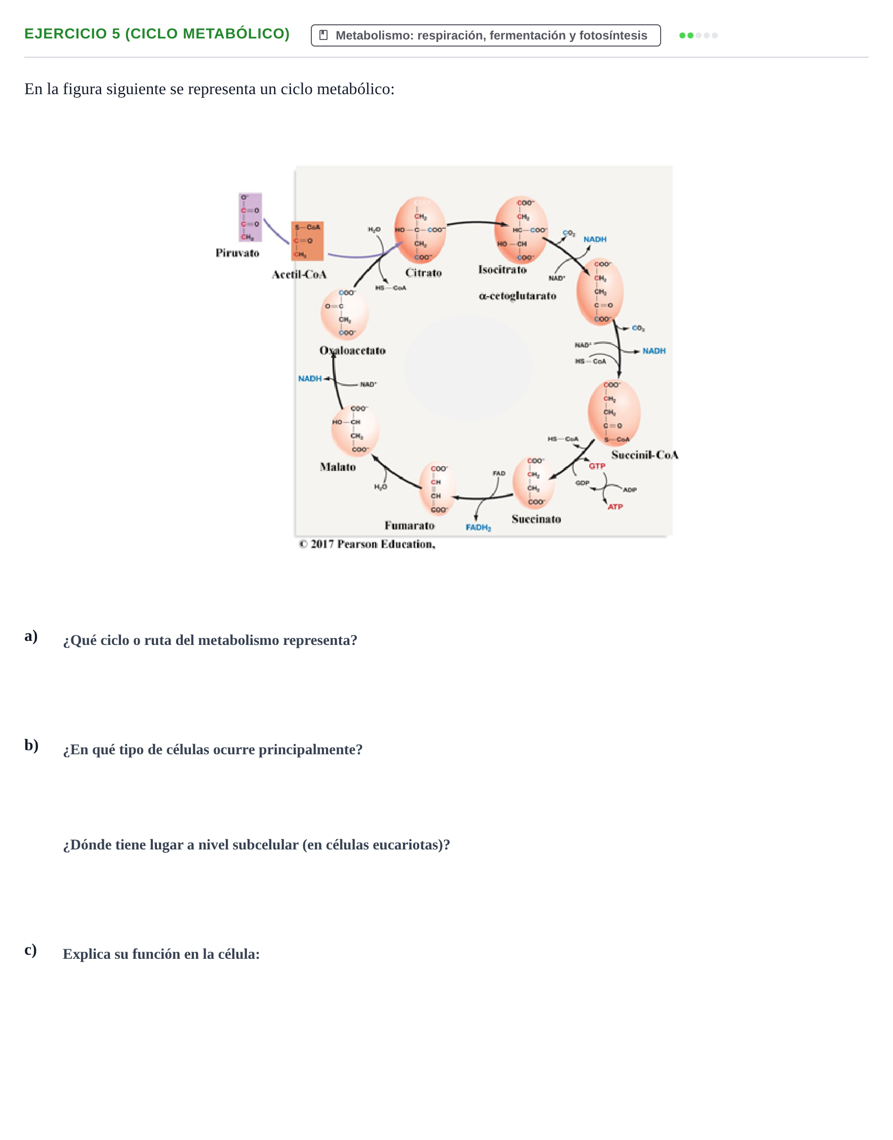 Enunciado: Ejercicio 5 (Ciclo metabólico) · Biología PAU Navarra Extraordinaria 2023