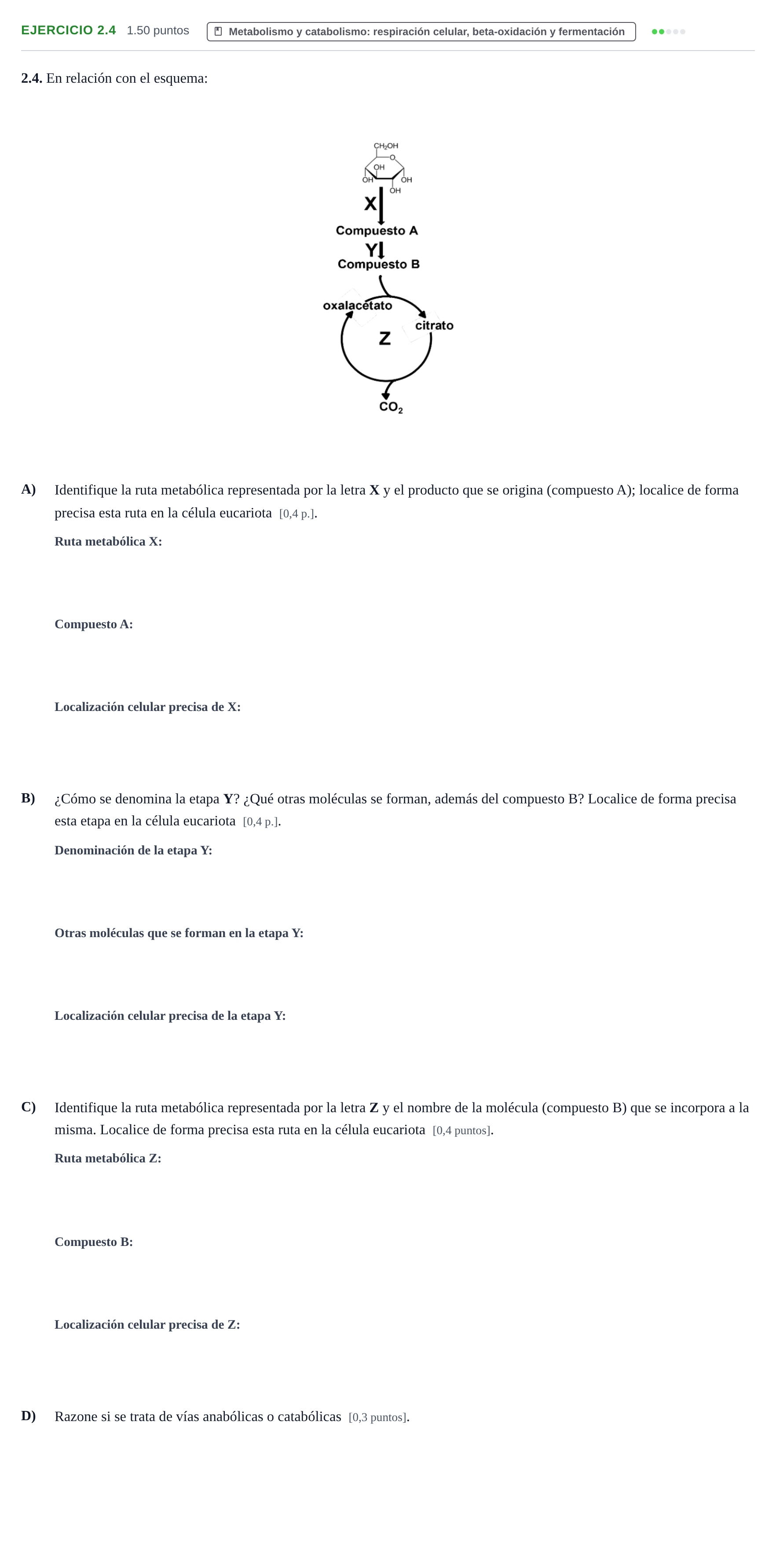 Enunciado: Ejercicio 2.4 · Biología PAU Murcia Ordinaria 2024