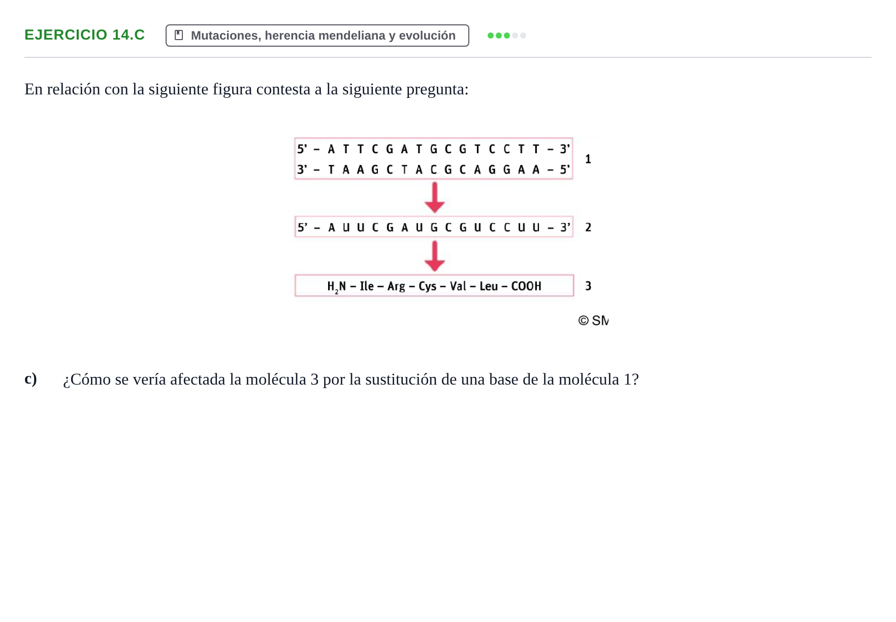 Enunciado: Ejercicio 14.c - Mutaciones · Biología PAU Navarra Ordinaria 2022