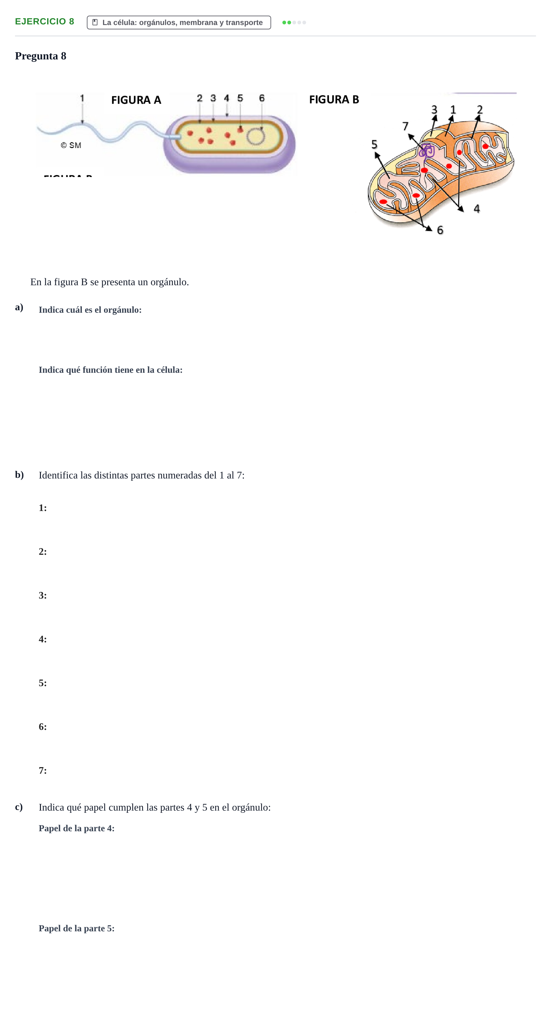 Enunciado: Problema 8 · Biología PAU Navarra Extraordinaria 2022
