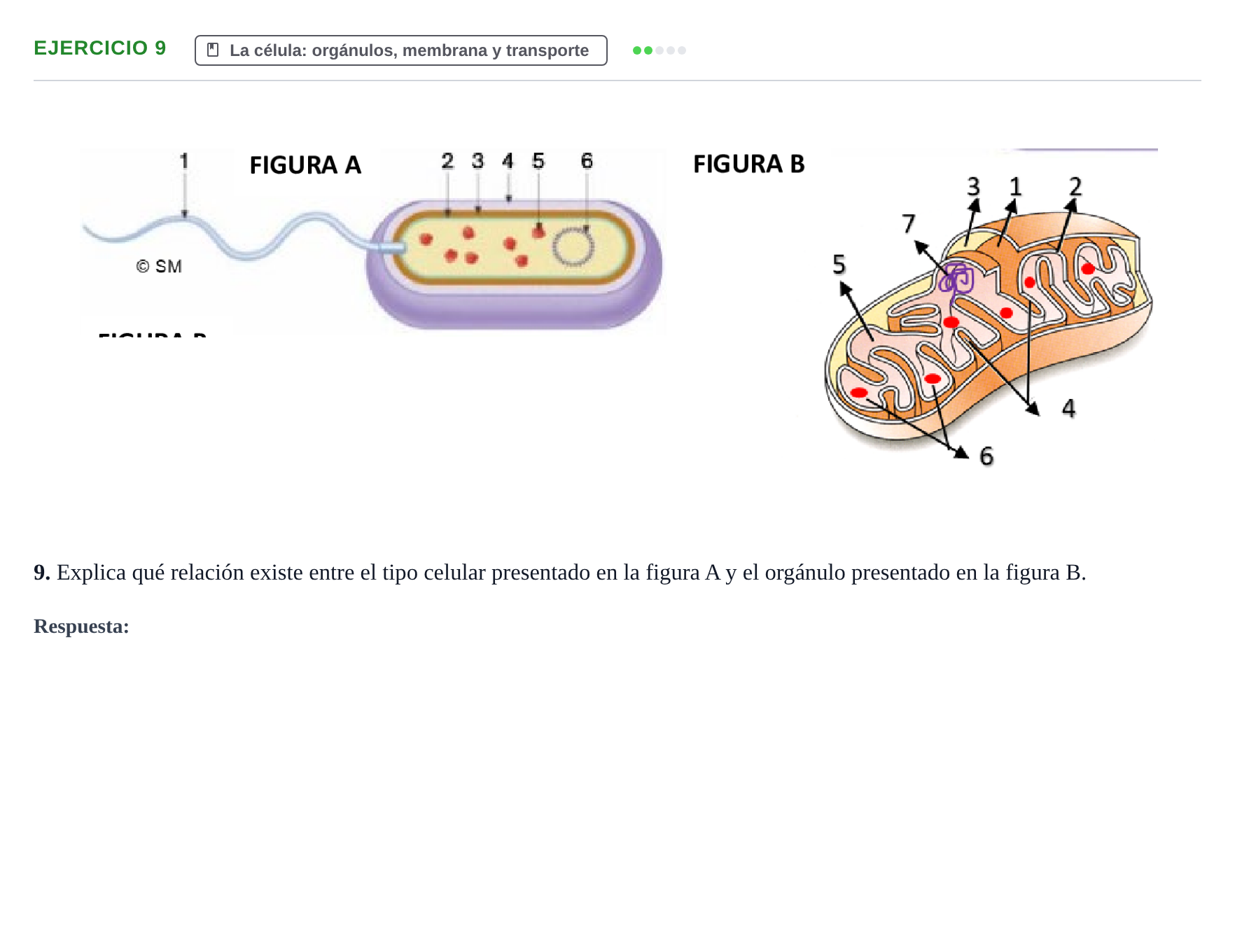 Enunciado: Problema 9 · Biología PAU Navarra Extraordinaria 2022