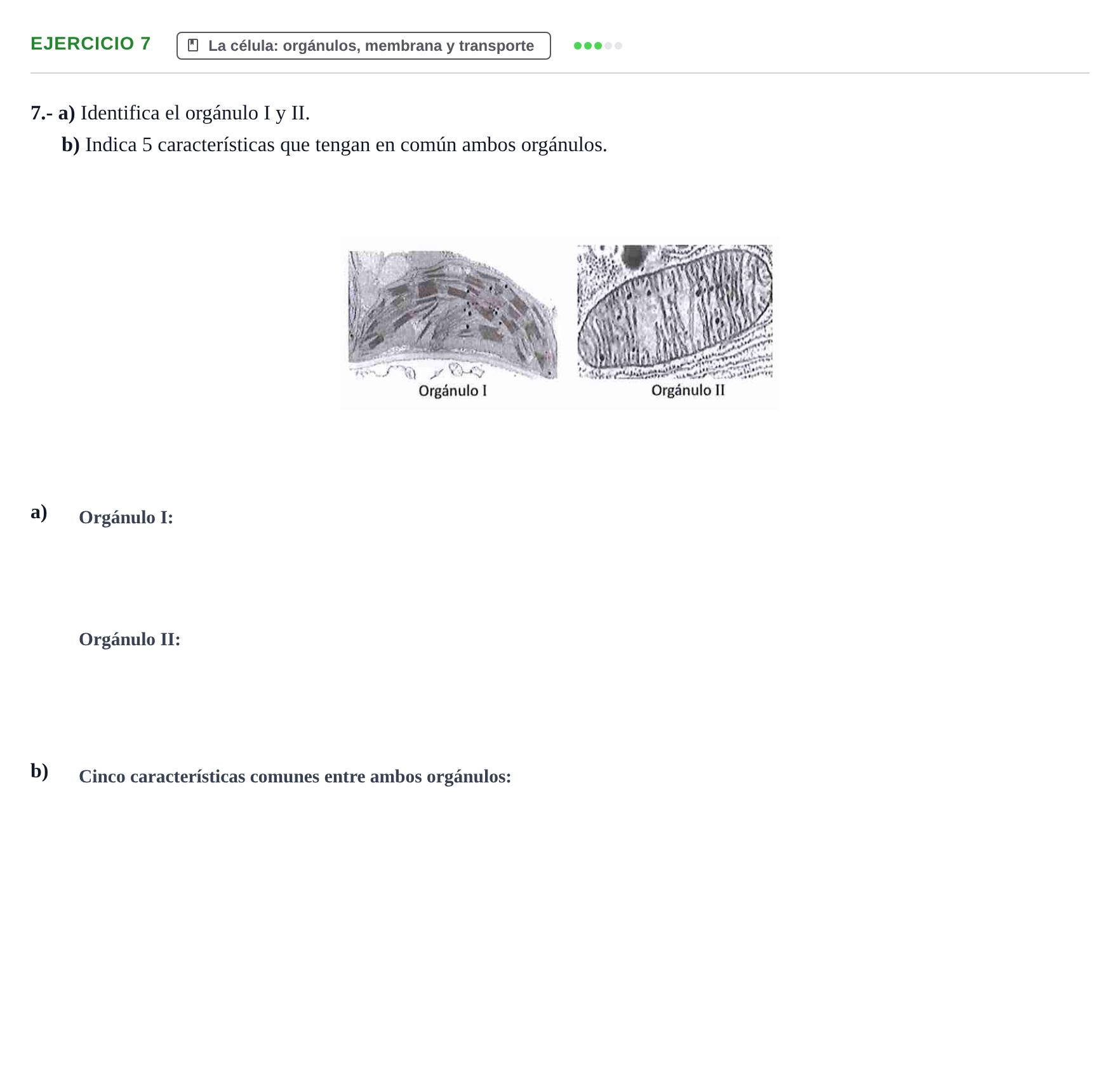 Enunciado: Problema 7 · Biología PAU Navarra Ordinaria 2021