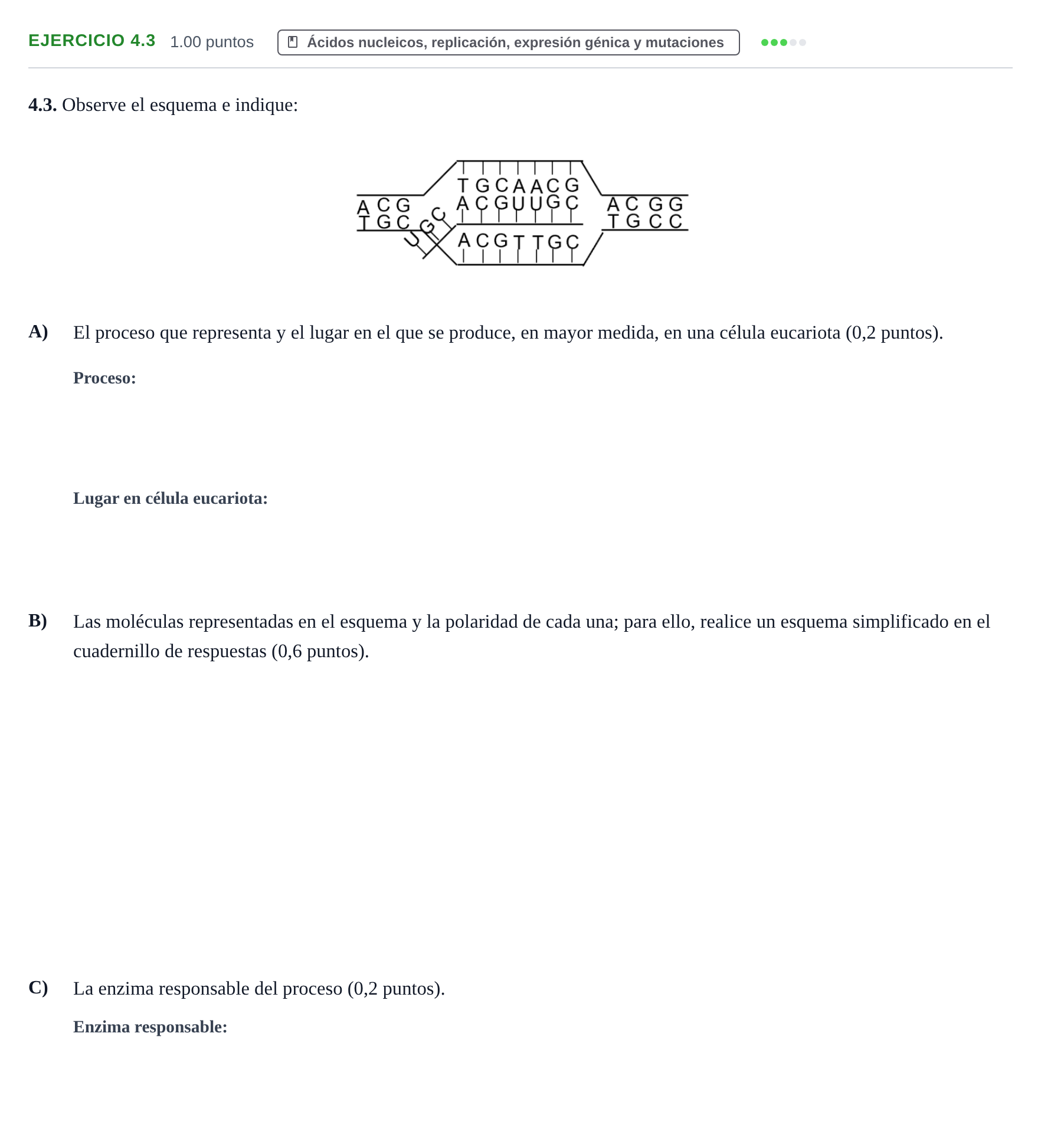 Enunciado: Ejercicio 4.3 · Biología PAU Murcia Extraordinaria 2022