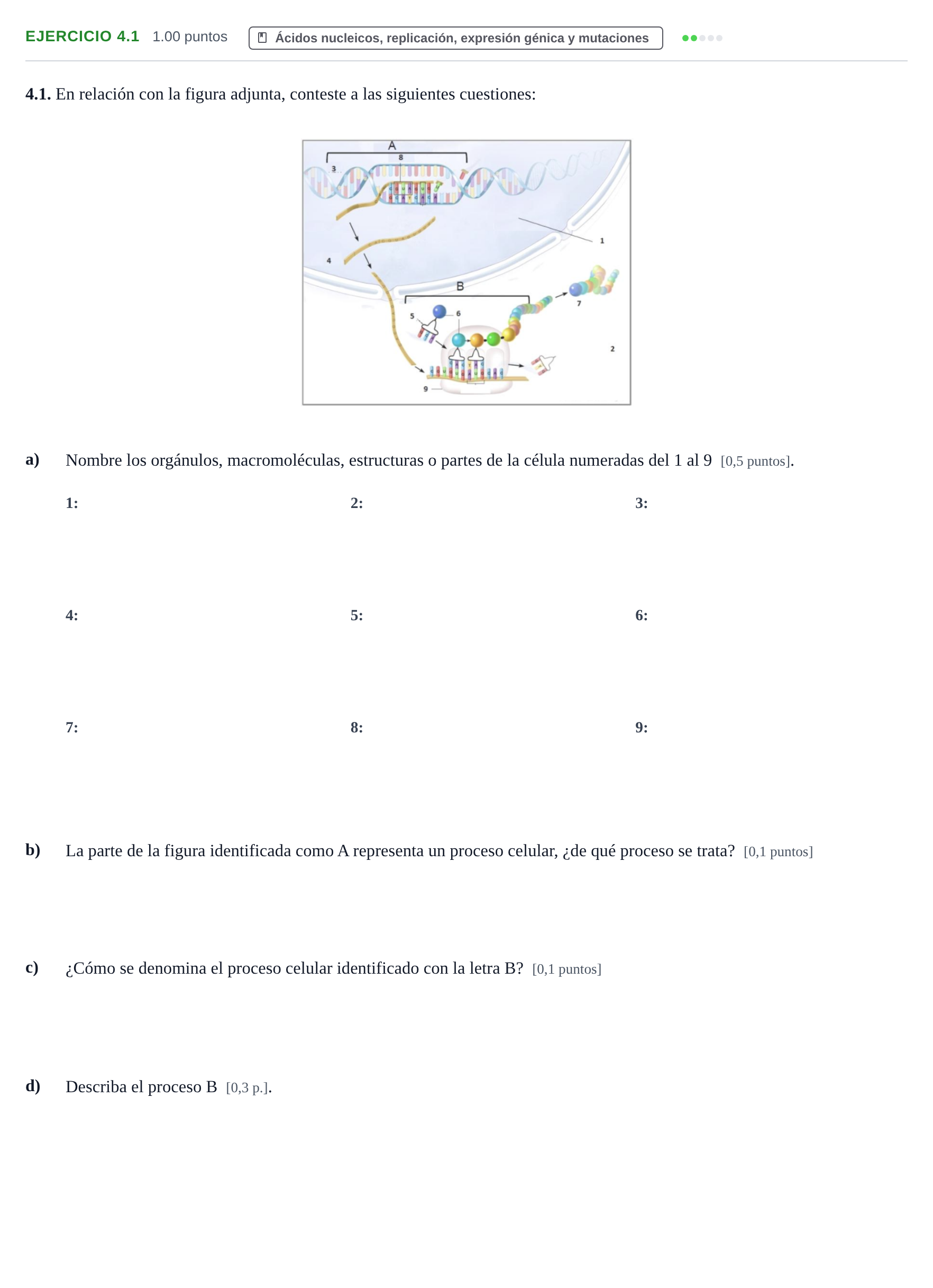 Enunciado: Ejercicio 4.1 · Biología PAU Murcia Ordinaria 2021
