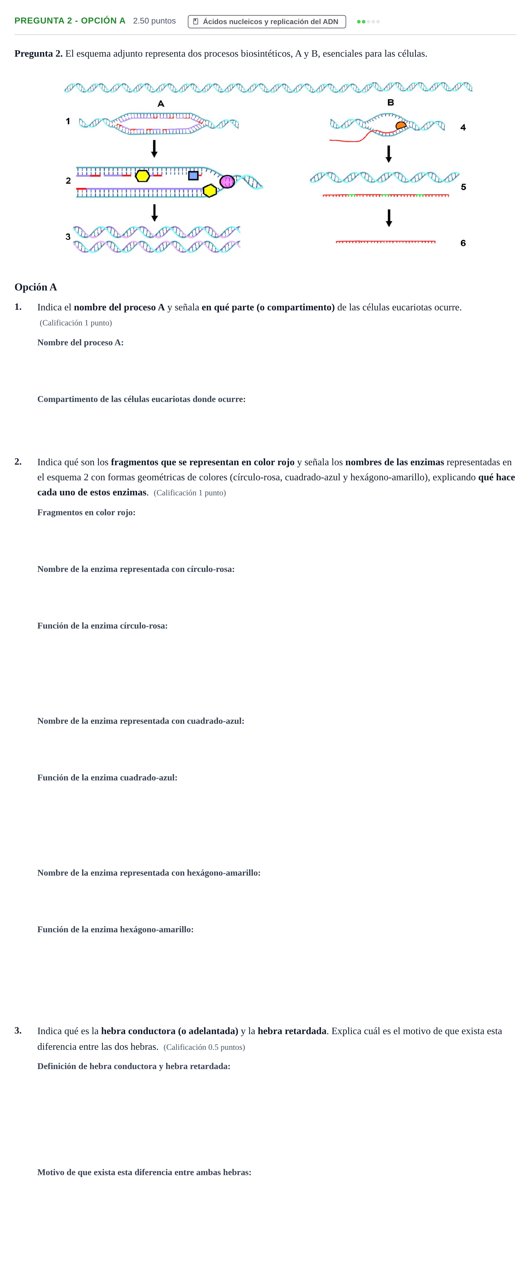 Enunciado: Pregunta 2 - Opción A · Biología PAU Asturias Extraordinaria 2026