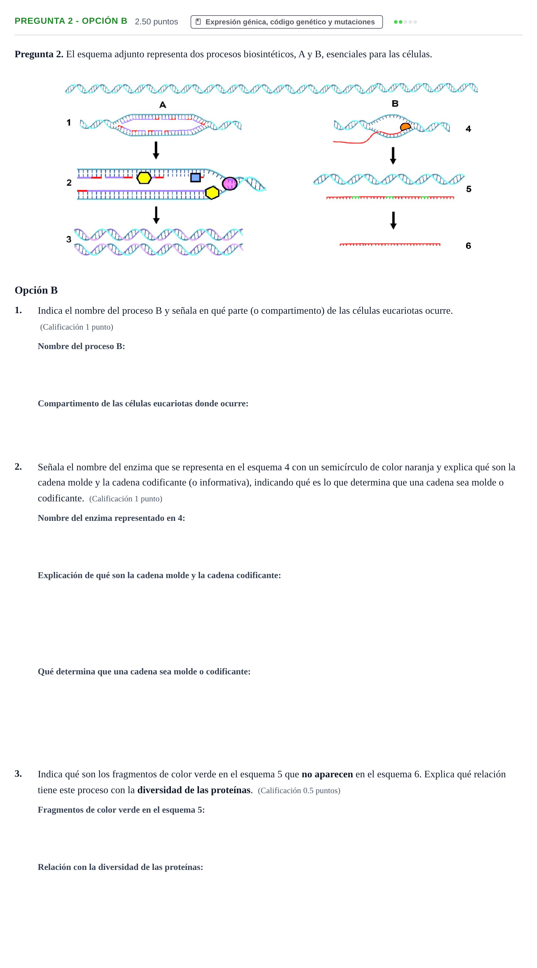 Enunciado: Pregunta 2 - Opción B · Biología PAU Asturias Extraordinaria 2026