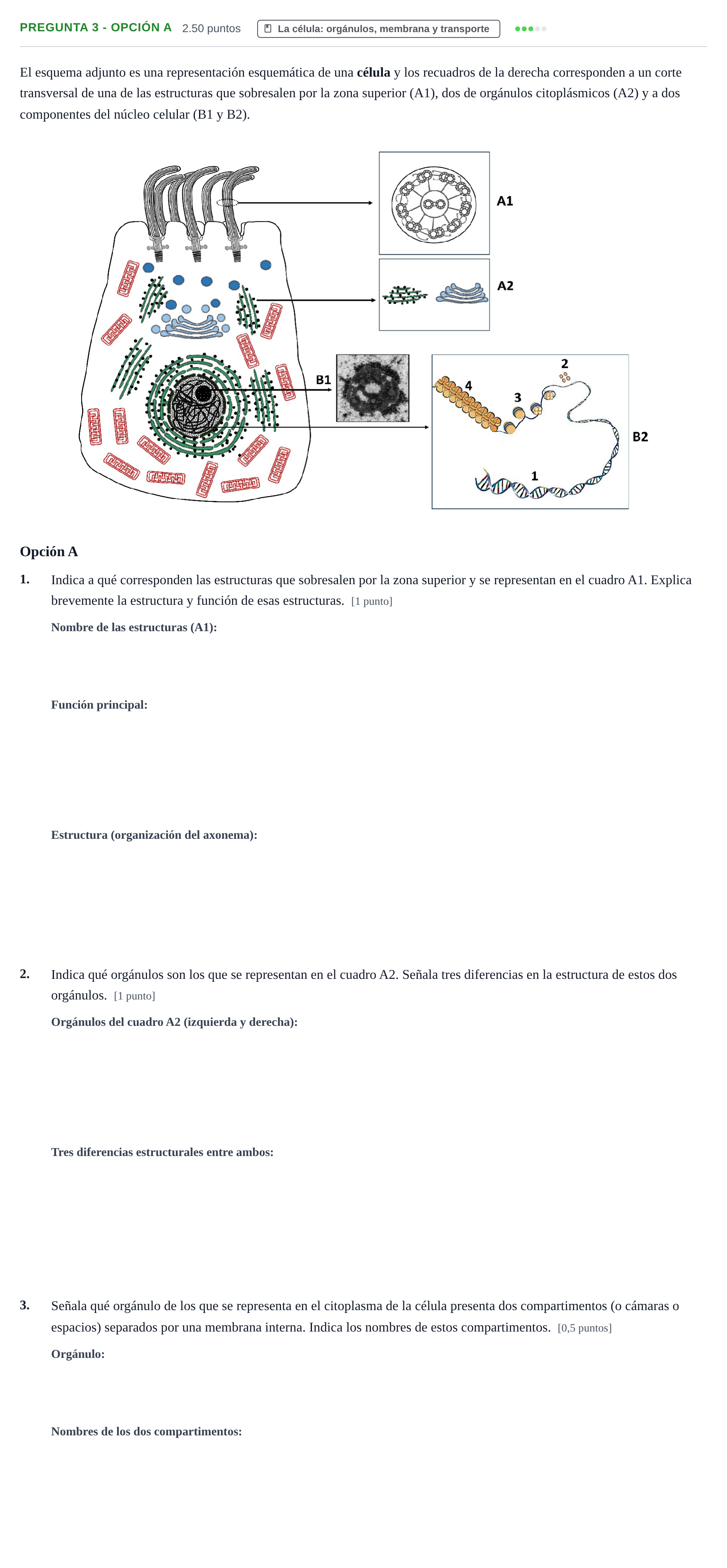 Enunciado: Pregunta 3 - Opción A · Biología PAU Asturias Extraordinaria 2026