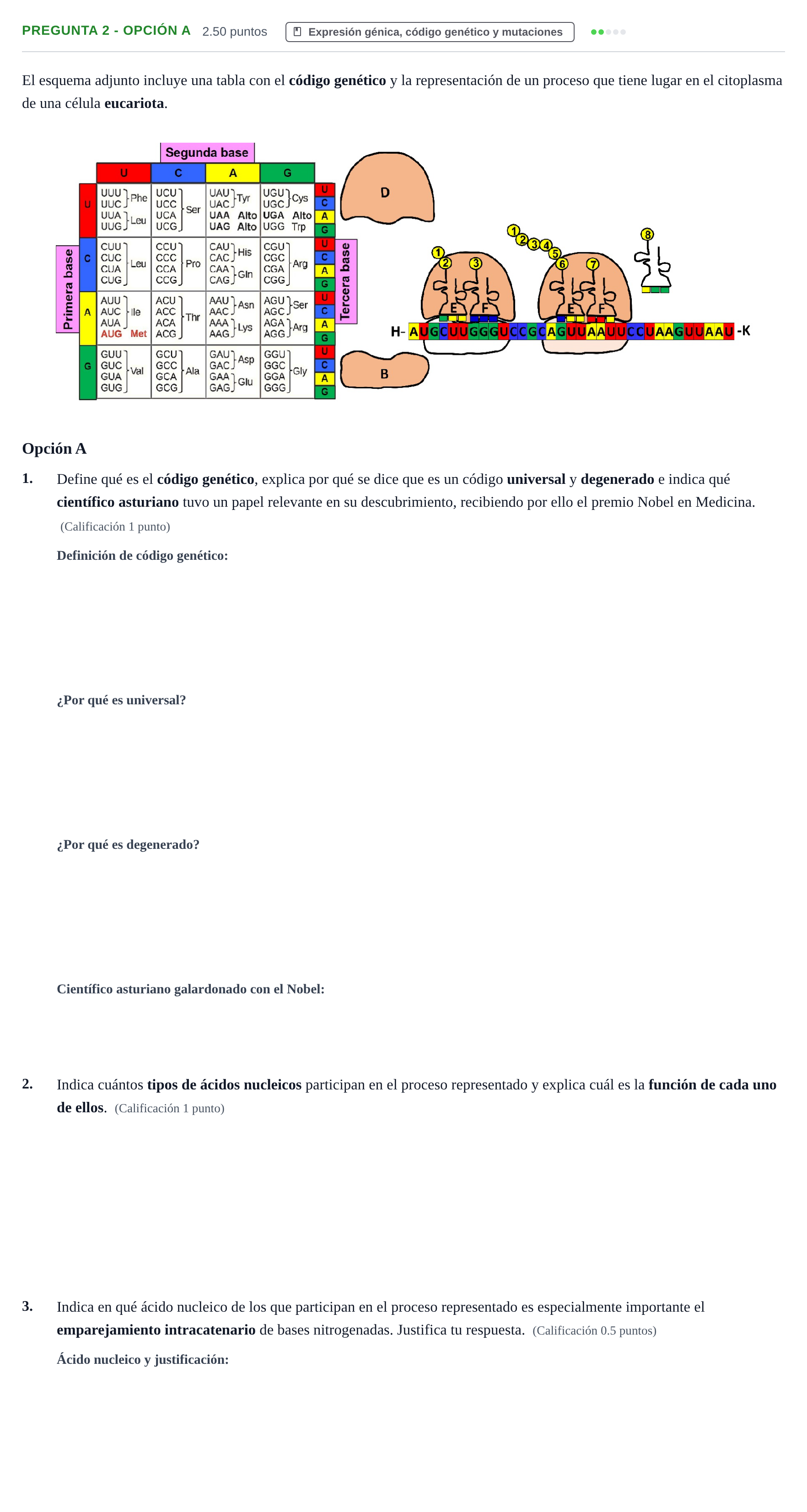 Enunciado: Pregunta 2 - Opción A · Biología PAU Asturias Ordinaria 2026