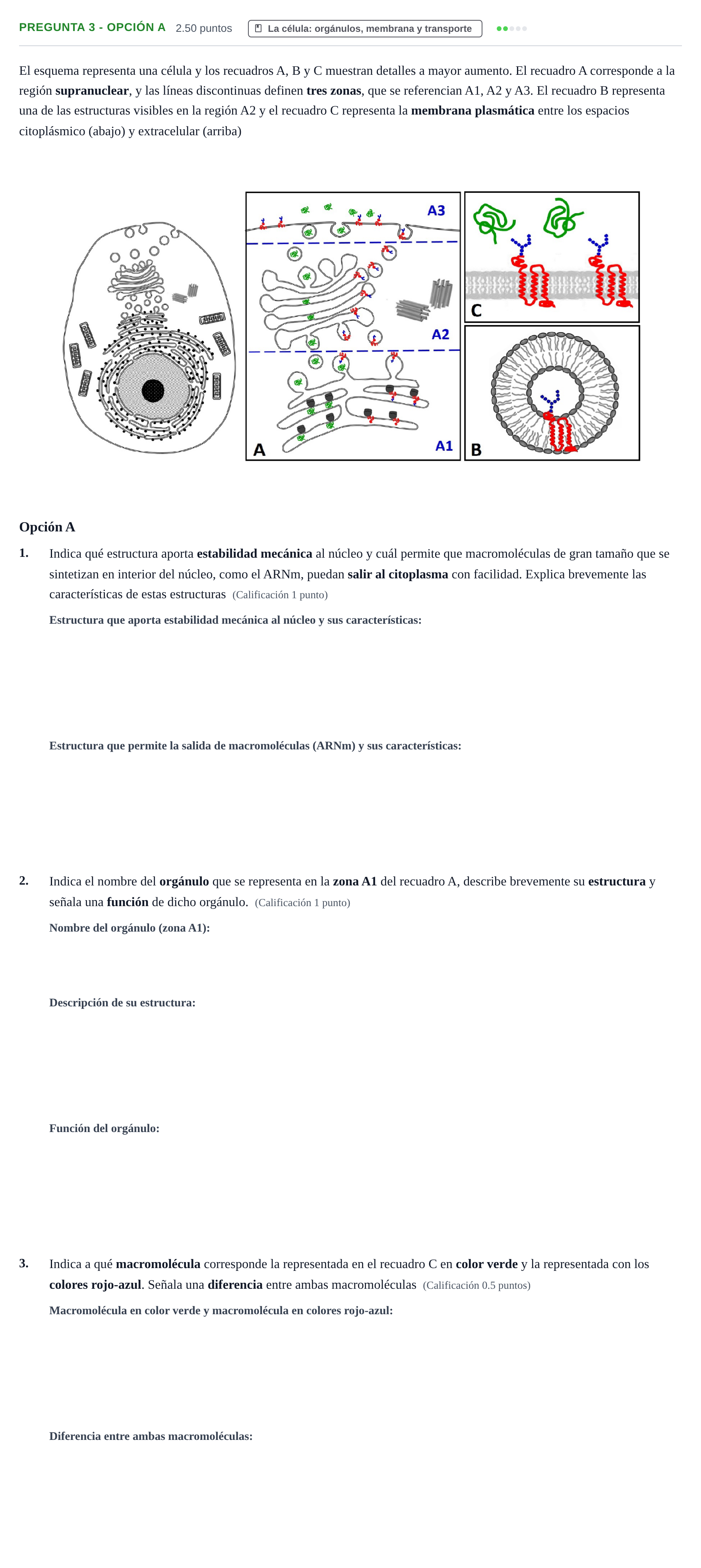 Enunciado: Pregunta 3 - Opción A · Biología PAU Asturias Ordinaria 2026