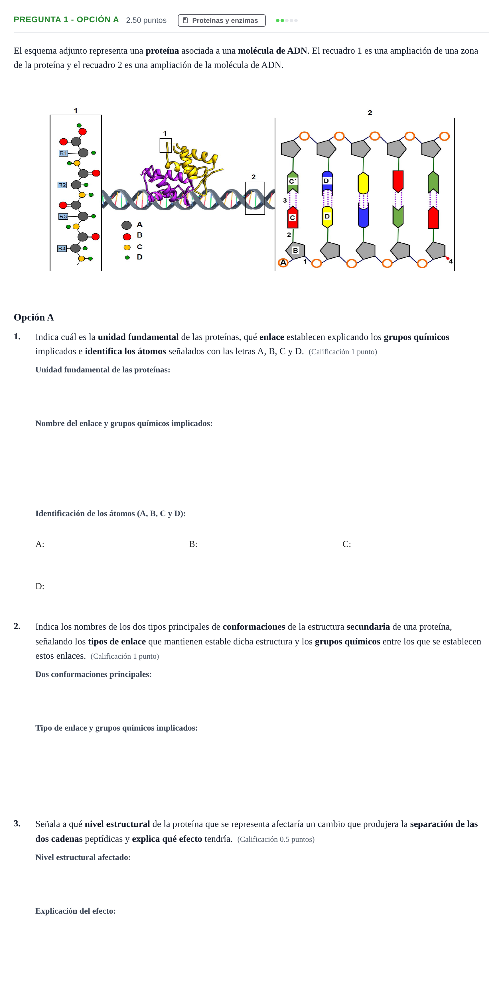 Enunciado: Pregunta 1 - Opción A · Biología PAU Asturias Ordinaria 2025