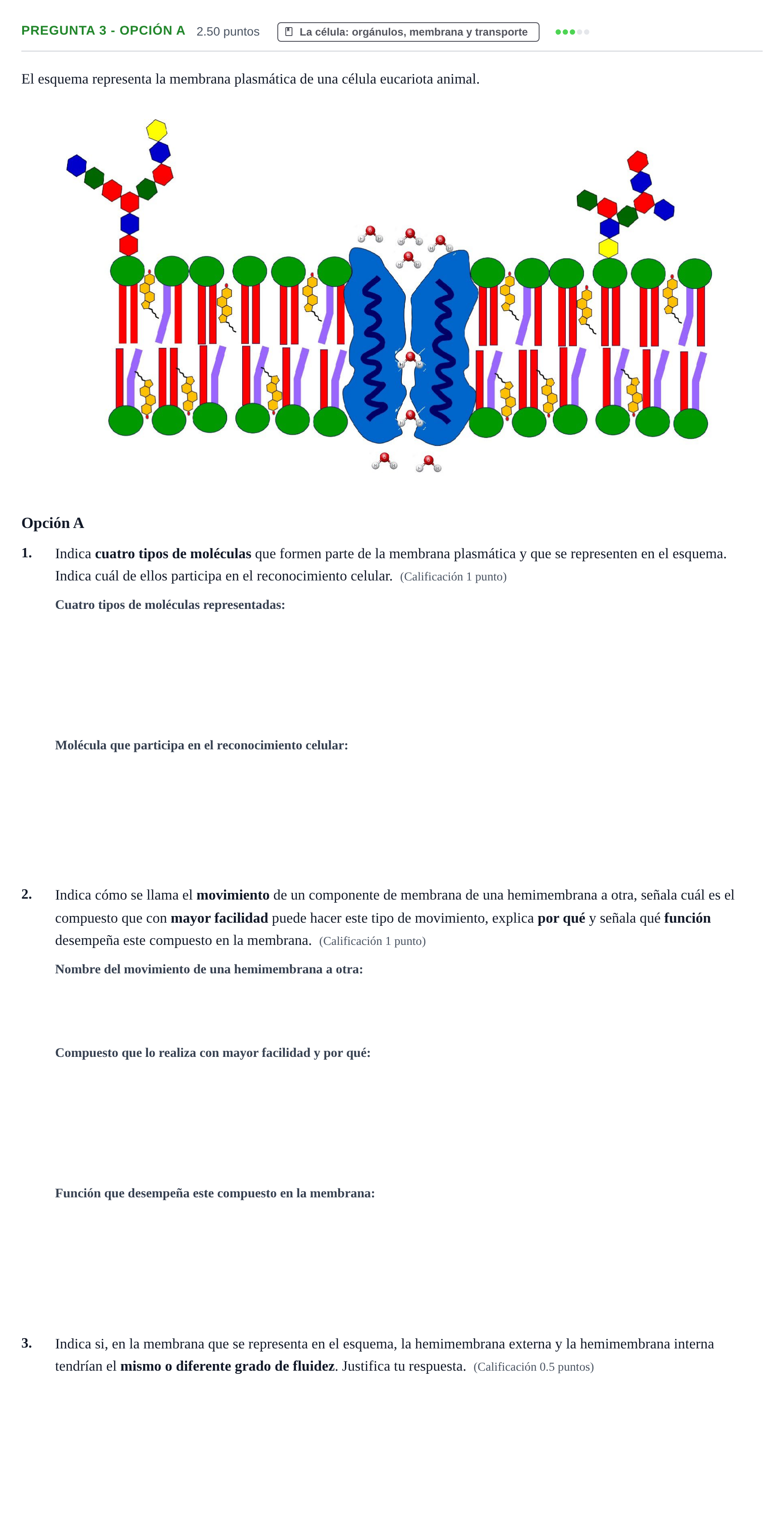 Enunciado: Pregunta 3 - Opción A · Biología PAU Asturias Ordinaria 2025