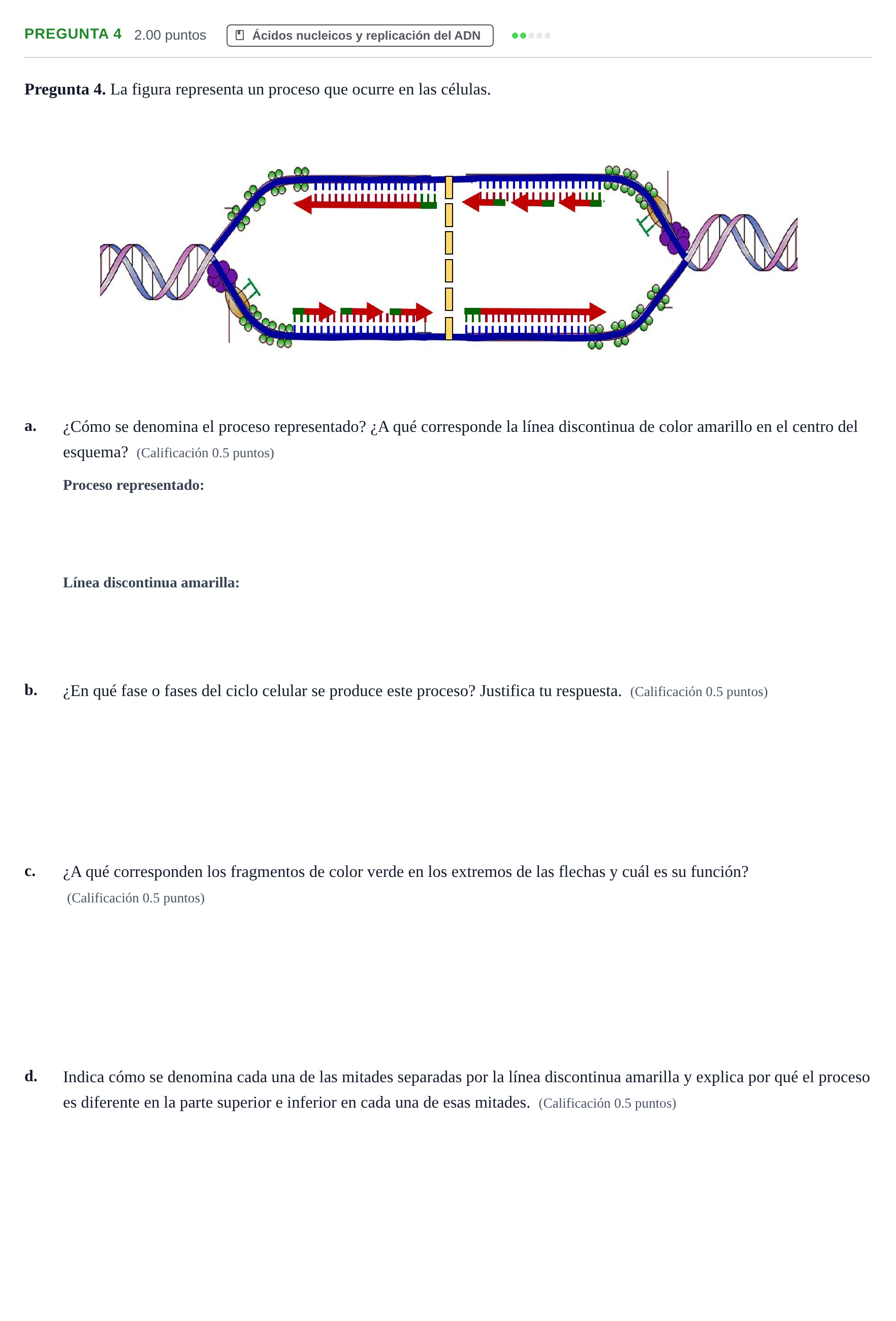 Enunciado: Pregunta 4 · Biología PAU Asturias Extraordinaria 2024