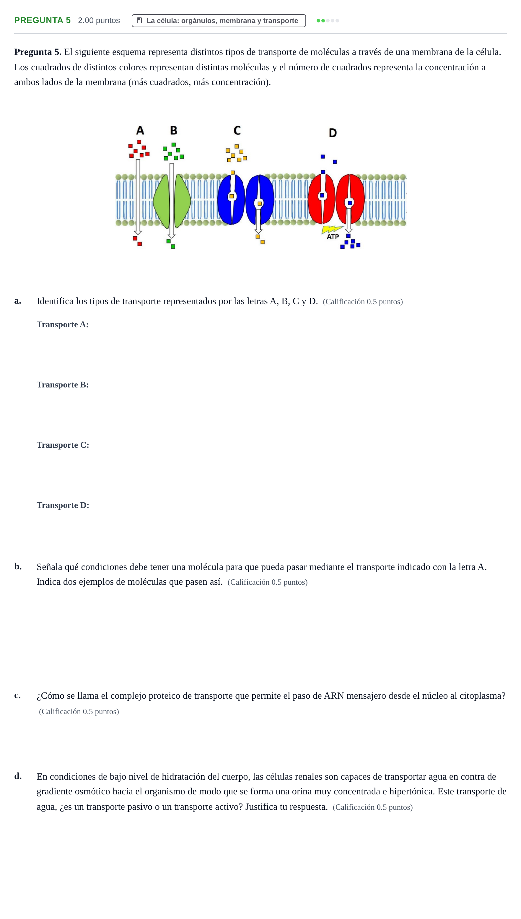 Enunciado: Pregunta 5 · Biología PAU Asturias Ordinaria 2024