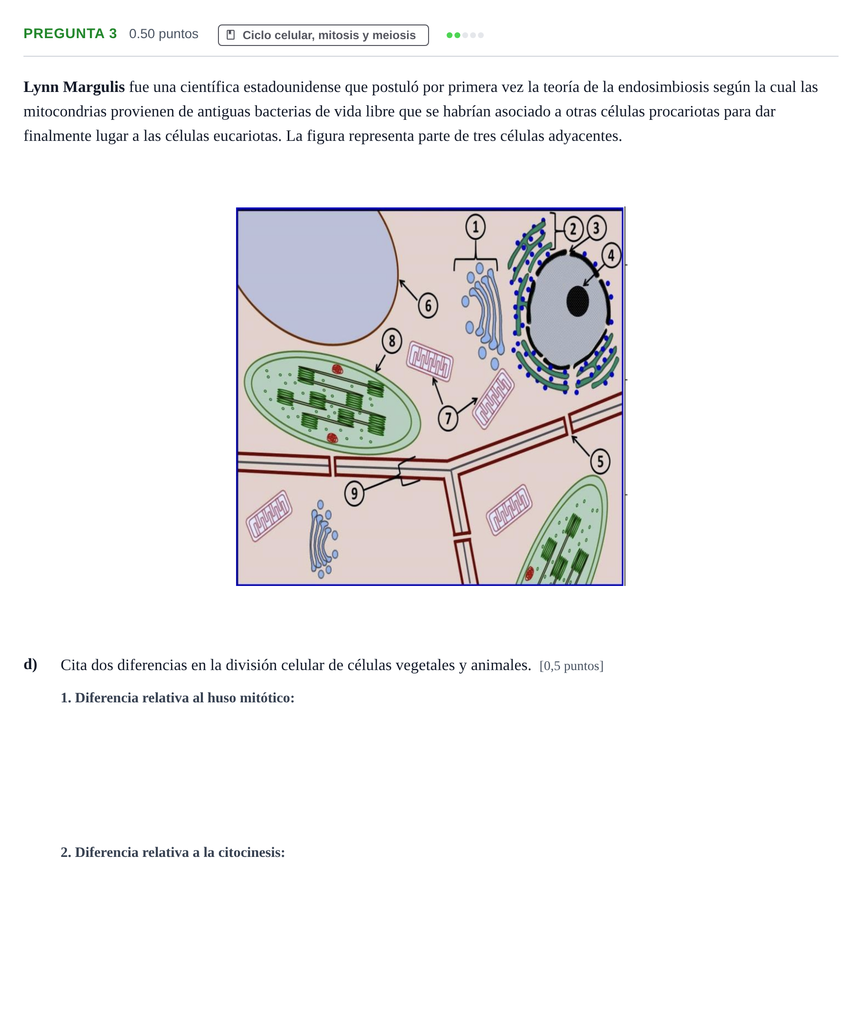 Enunciado: Pregunta 3 - Ciclo celular · Biología PAU Asturias Ordinaria 2022