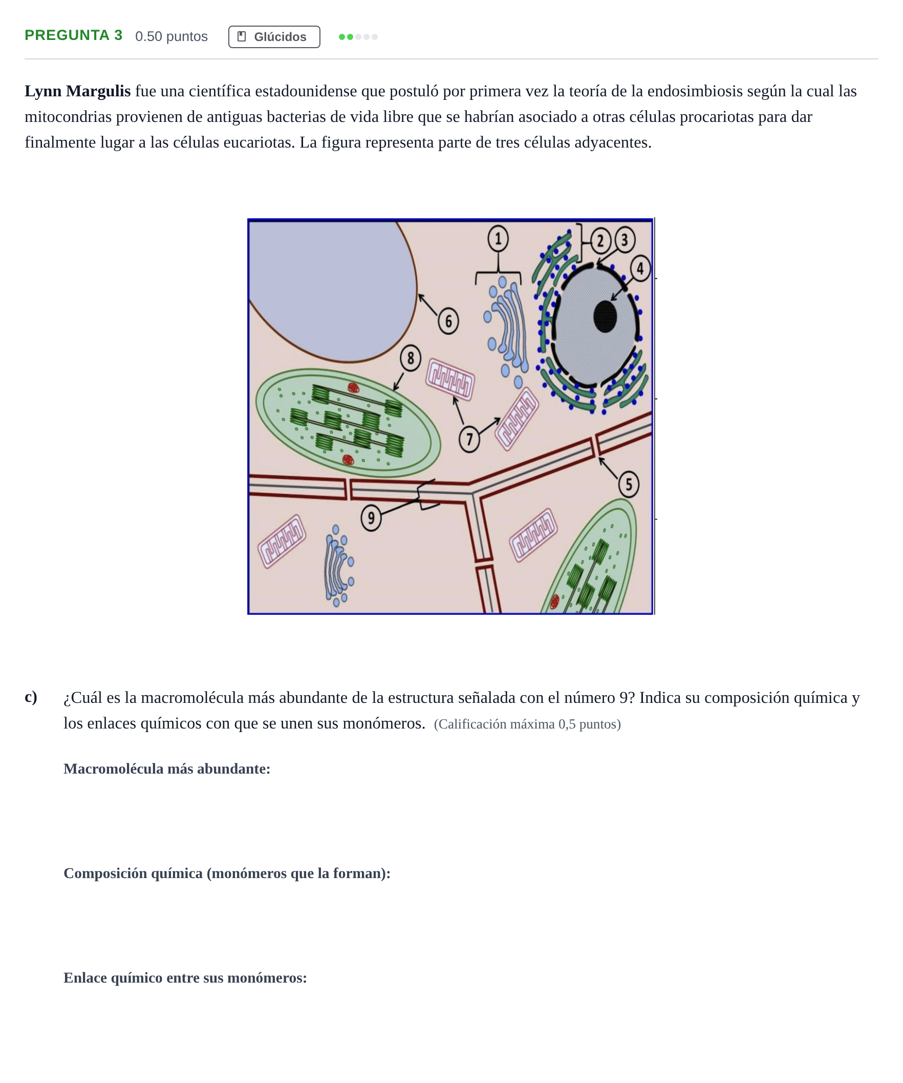 Enunciado: Pregunta 3 - Glúcidos · Biología PAU Asturias Ordinaria 2022