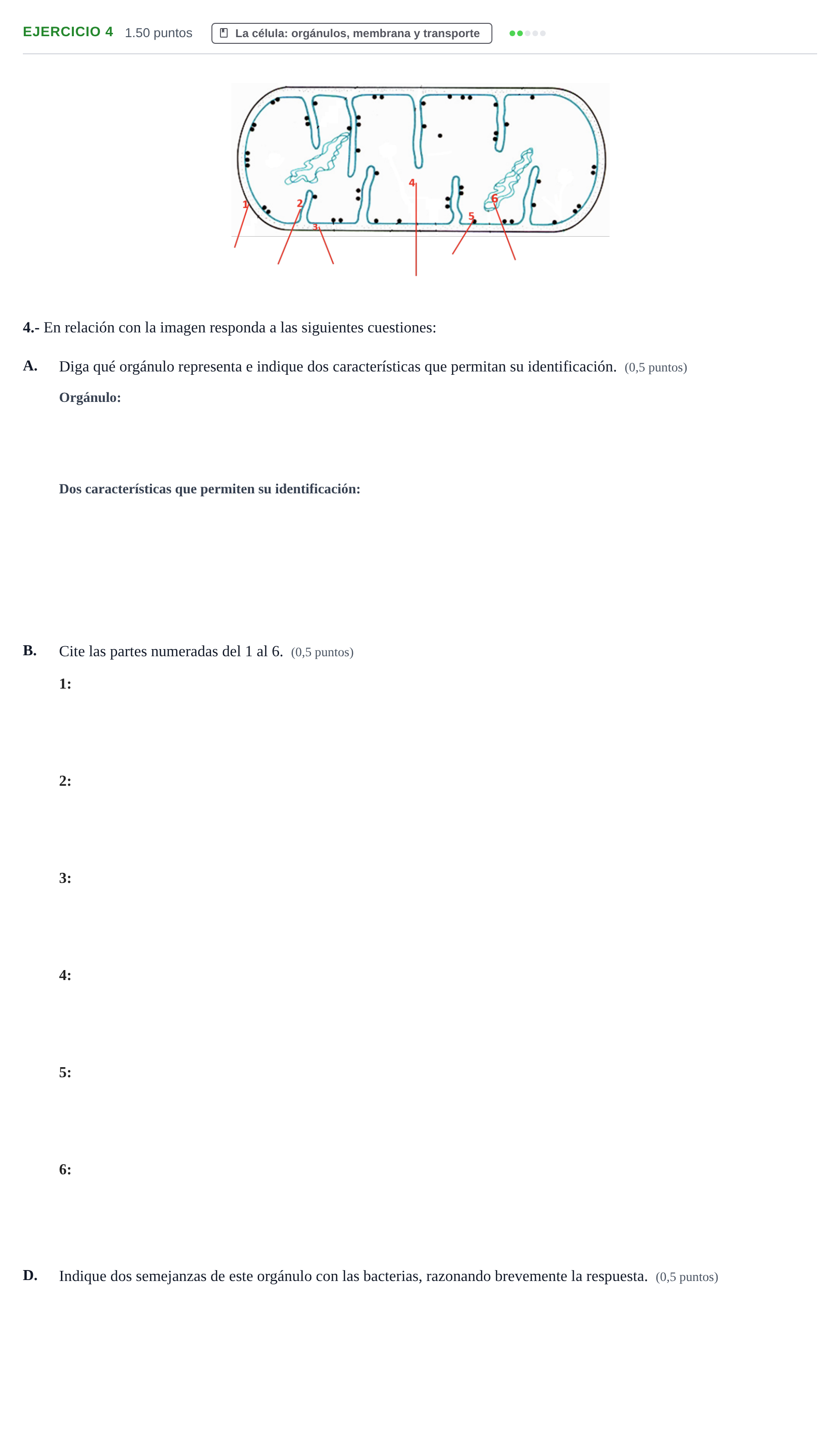 Enunciado: Ejercicio 4 - La célula · Biología PAU Extremadura Ordinaria 2021
