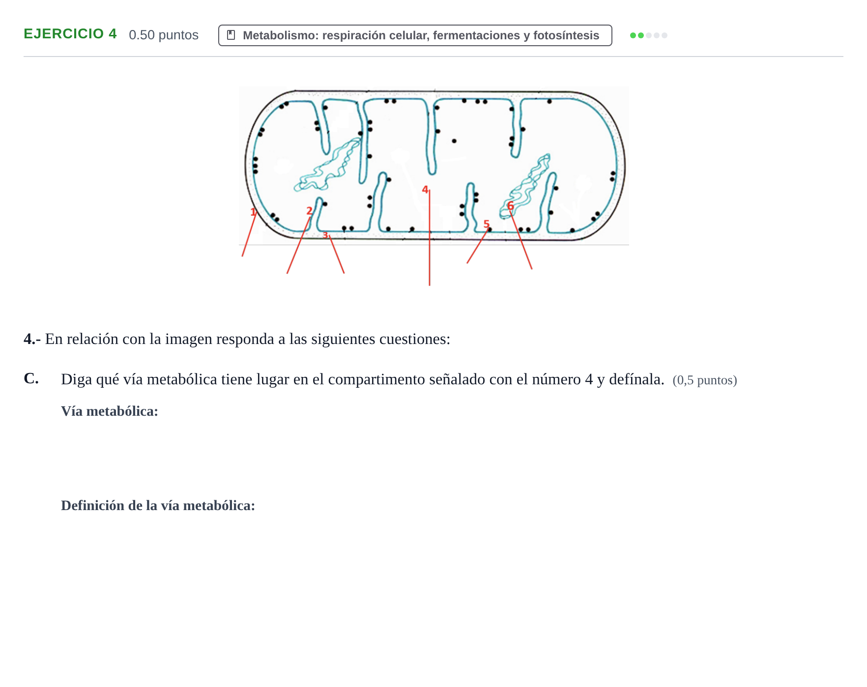 Enunciado: Ejercicio 4 - Metabolismo · Biología PAU Extremadura Ordinaria 2021