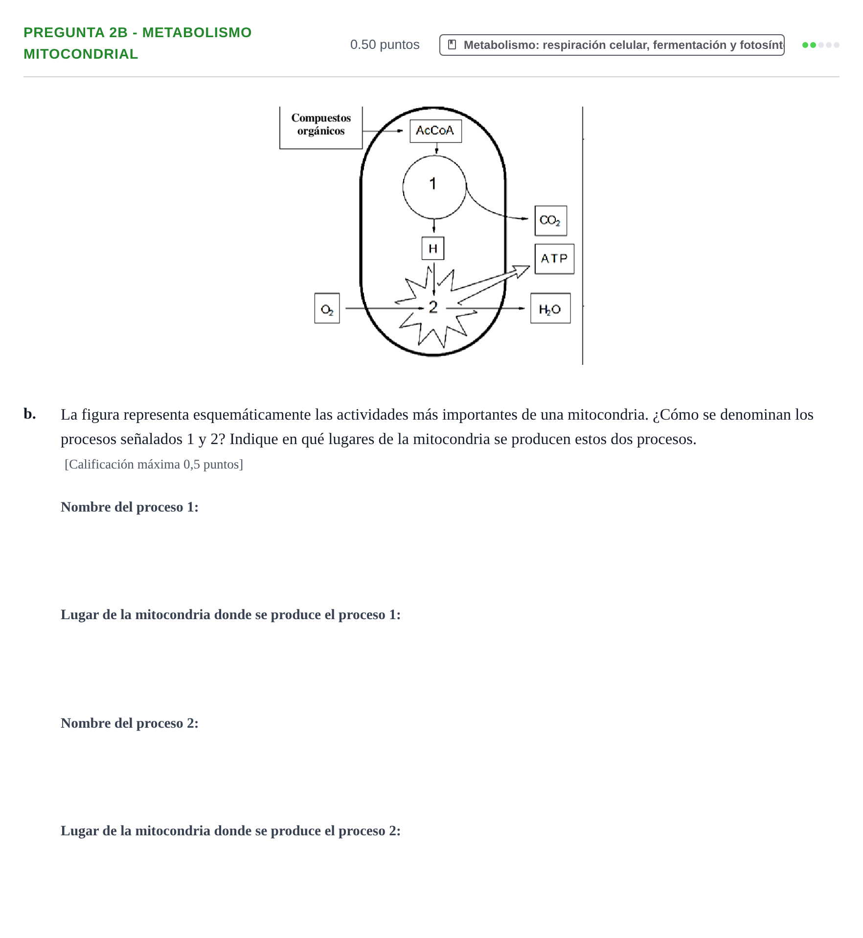 Enunciado: Pregunta 2B - Metabolismo mitocondrial · Biología PAU Asturias Extraordinaria 2021