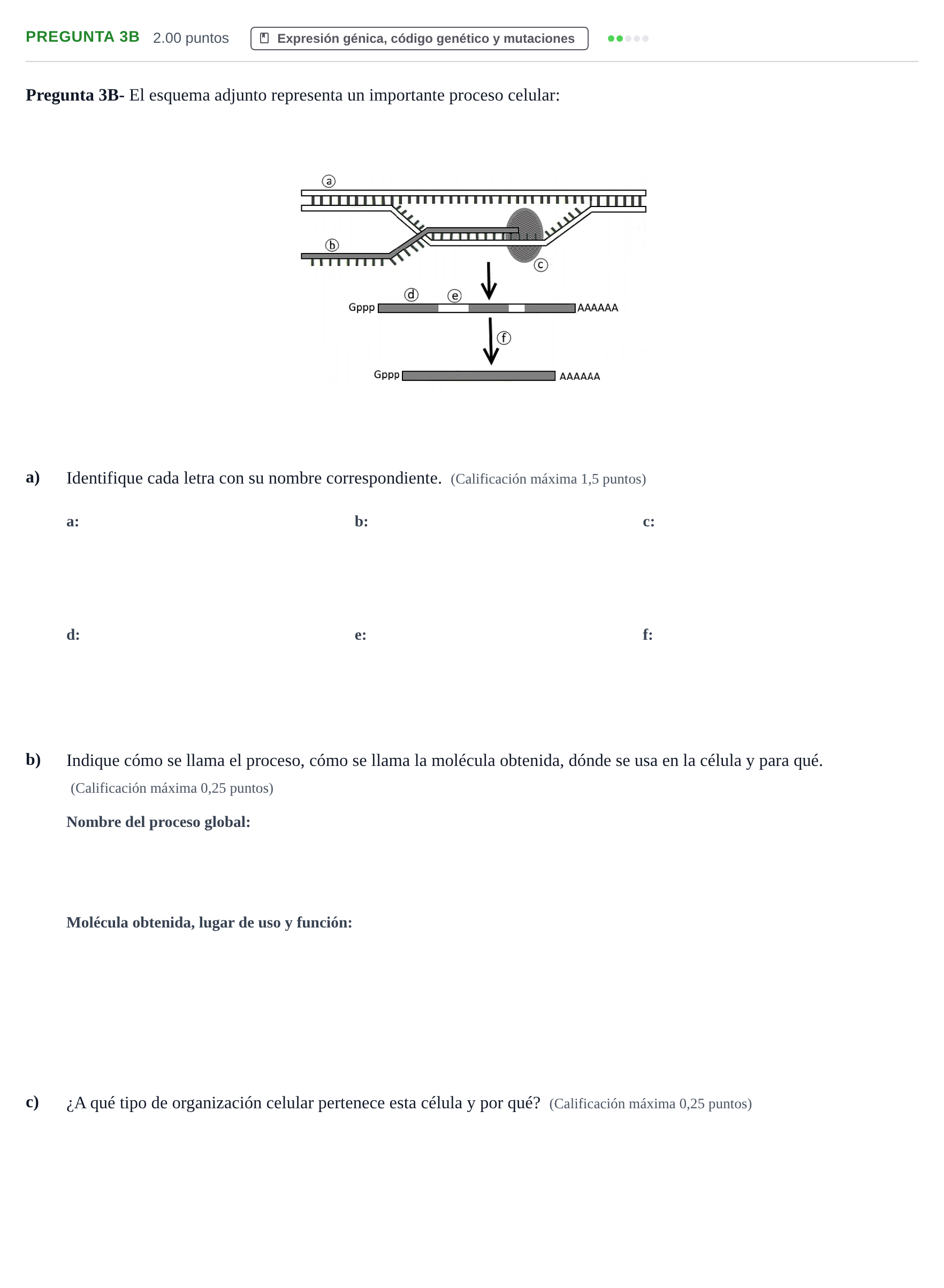 Enunciado: Pregunta 3B · Biología PAU Asturias Ordinaria 2021