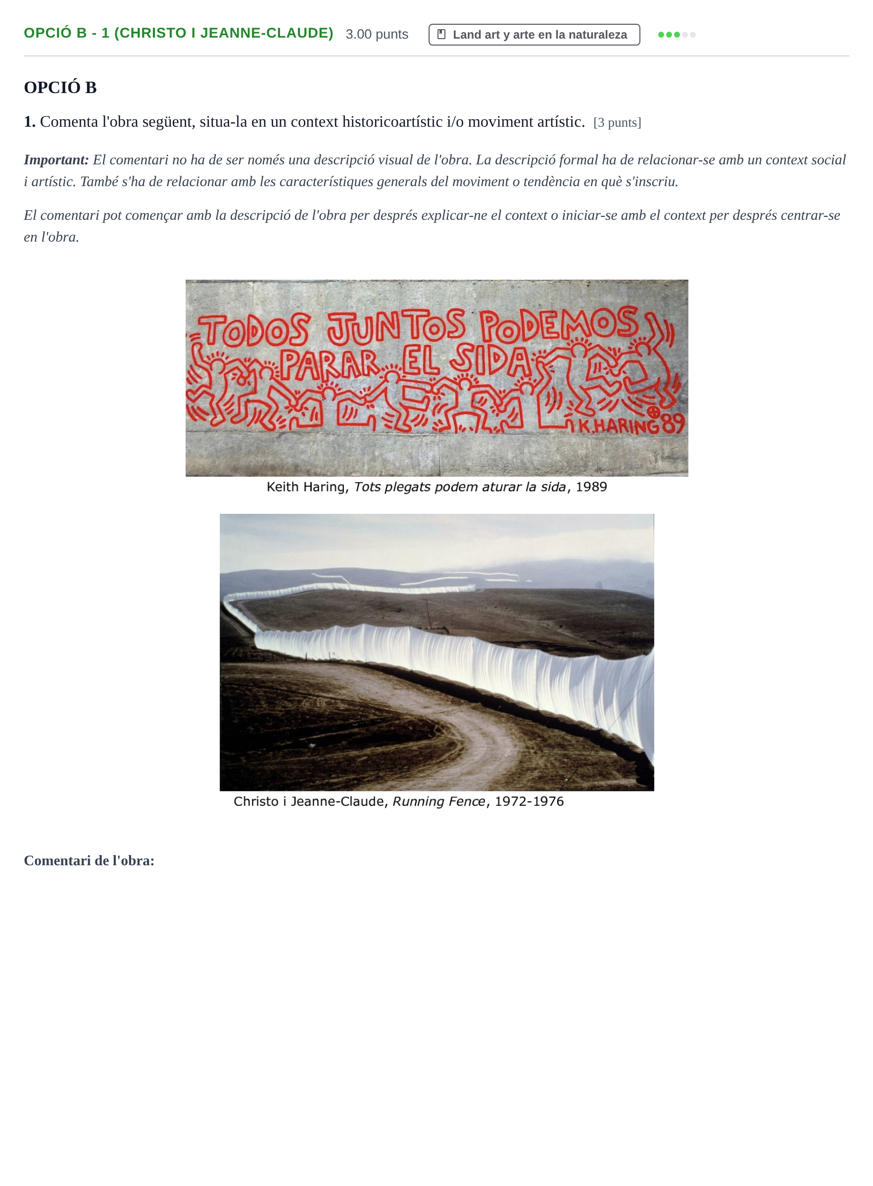 Enunciado: Ejercicio Opció B - 1 (Christo i Jeanne-Claude) · Movimientos Culturales y Artísticos PAU Baleares Ordinaria 2024