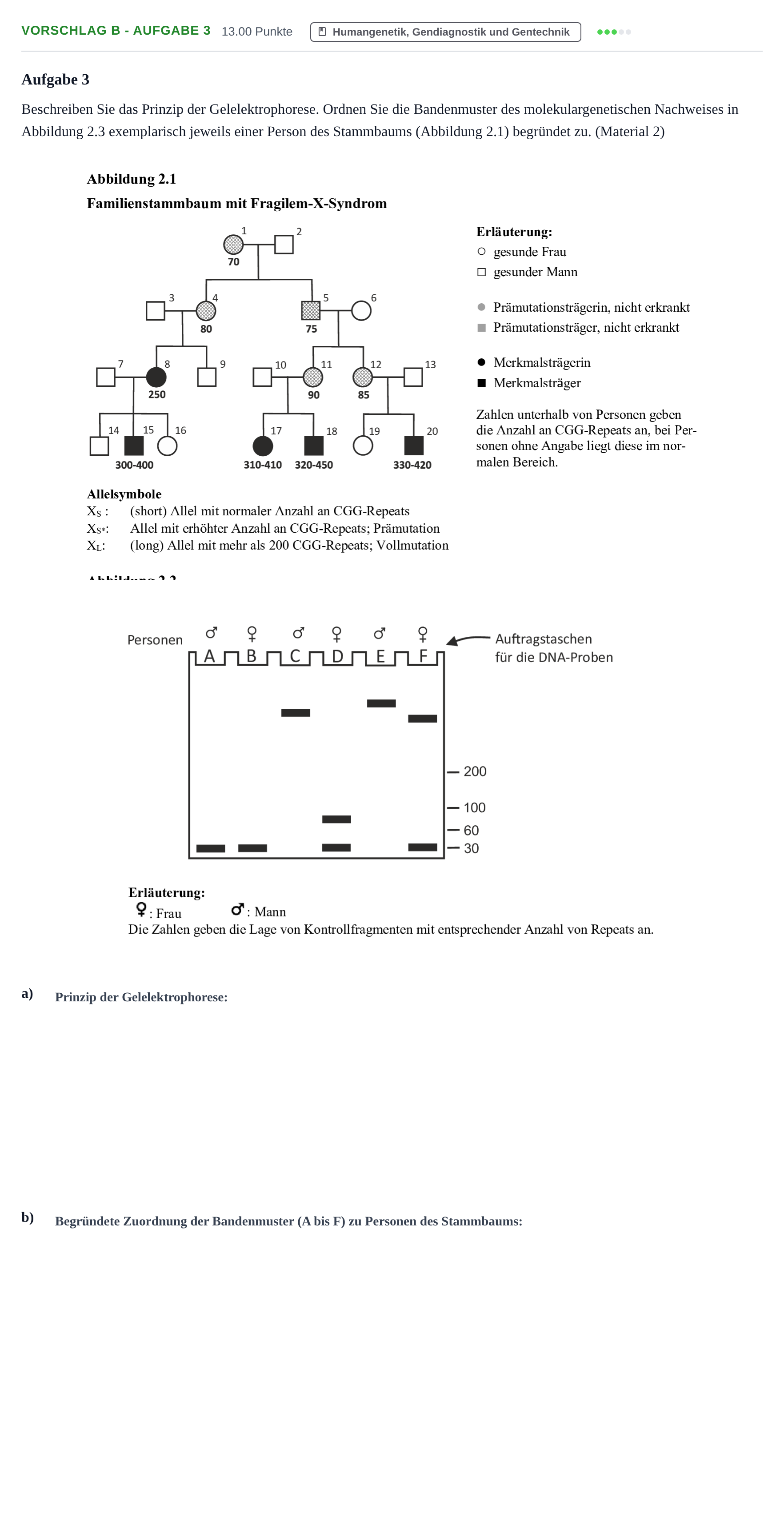 Aufgabenstellung: Aufgabe Vorschlag B - Aufgabe 3 · Abitur Hessen Biologie LK 2021