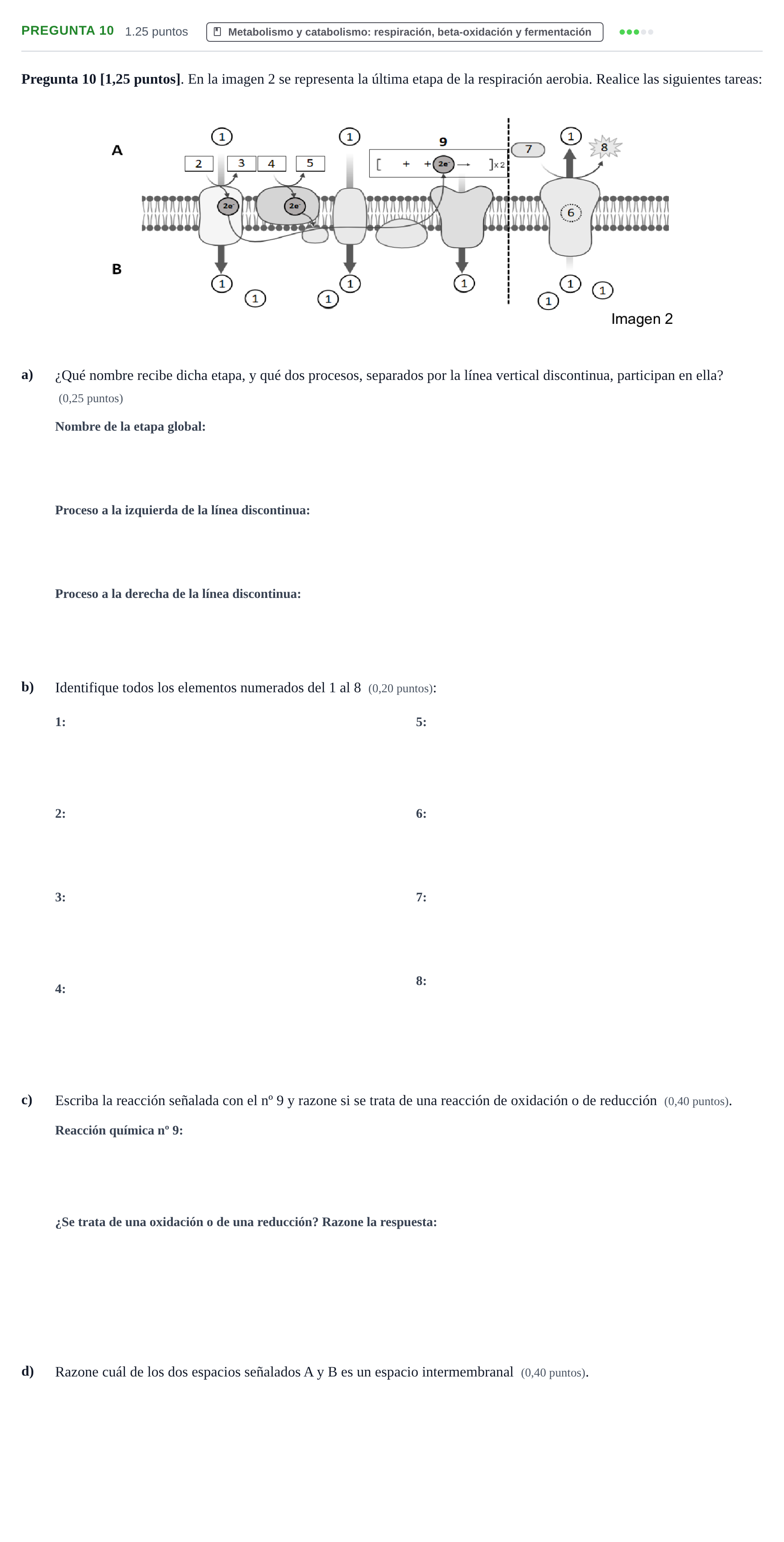 Enunciado: Pregunta 10 · Biología PAU Cantabria Extraordinaria 2026