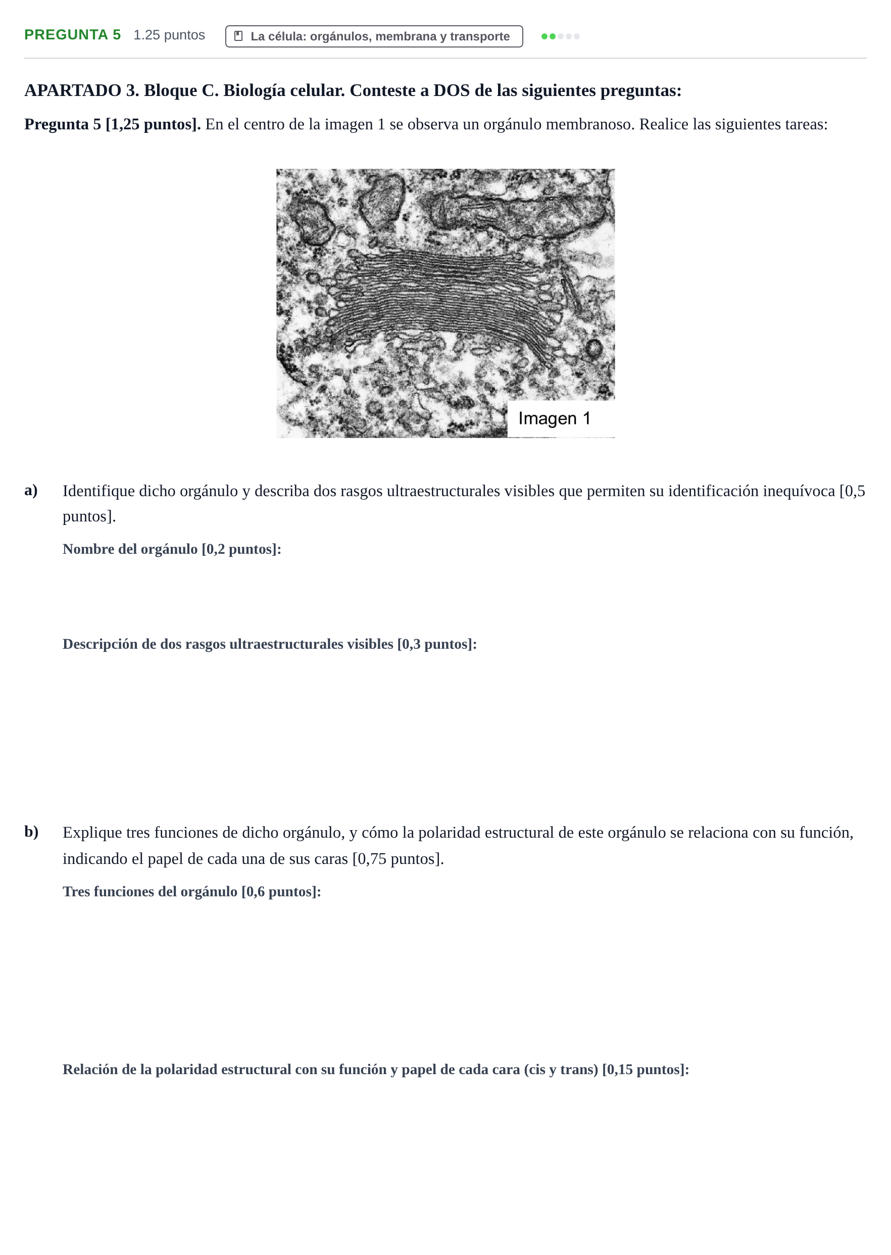 Enunciado: Pregunta 5 · Biología PAU Cantabria Extraordinaria 2026