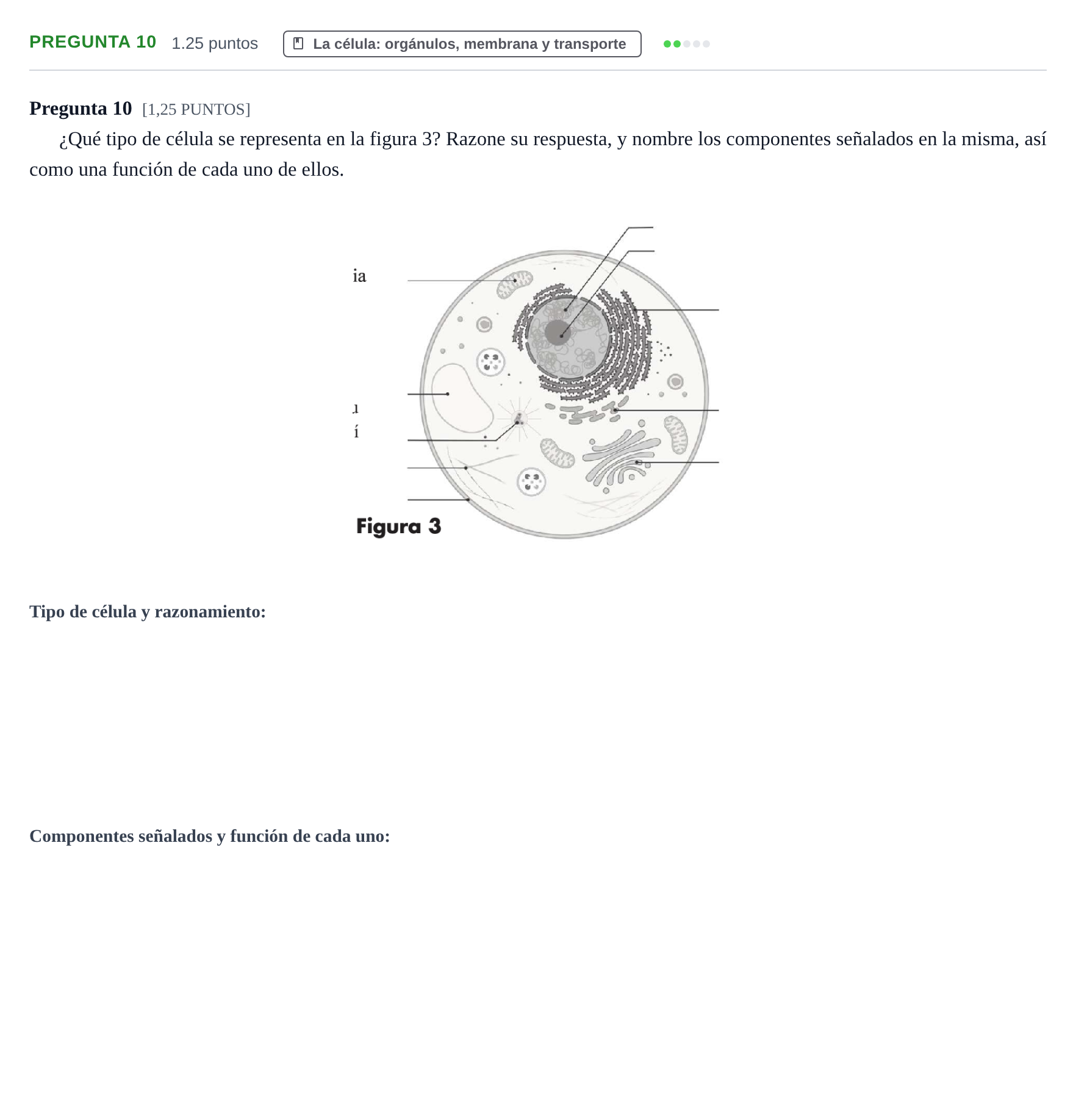 Enunciado: Pregunta 10 · Biología PAU Cantabria Extraordinaria 2023
