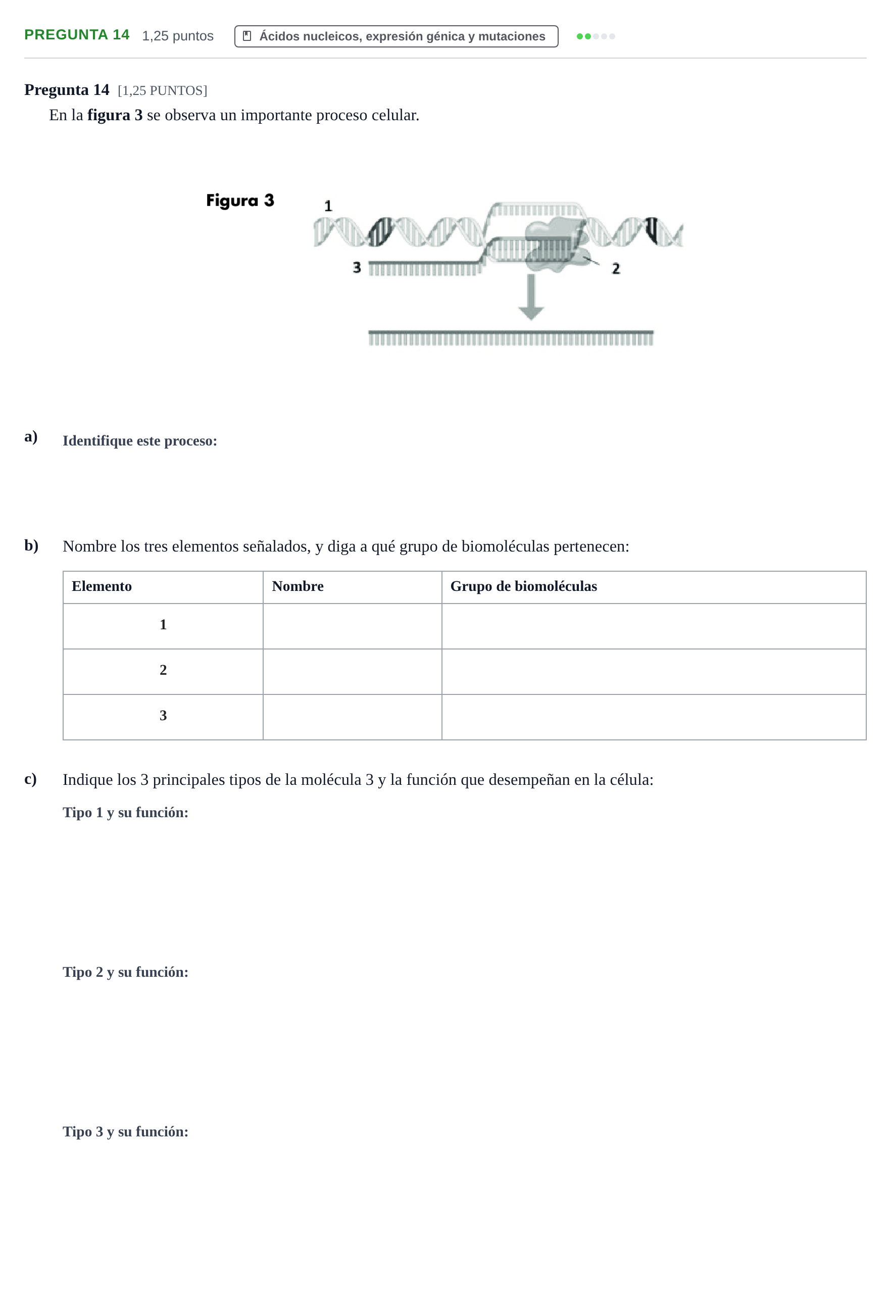 Enunciado: Pregunta 14 · Biología PAU Cantabria Ordinaria 2024