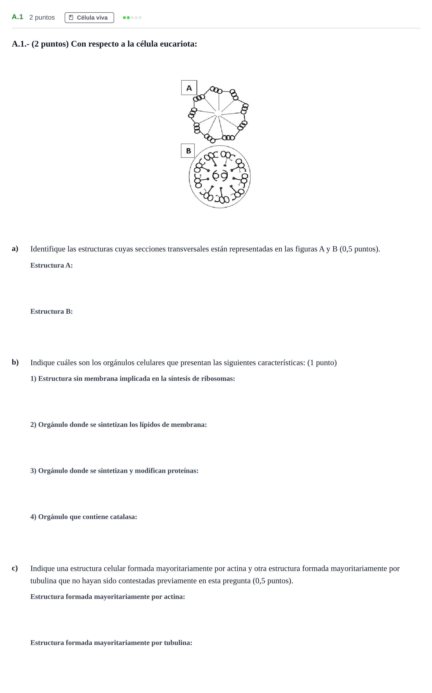 Enunciado: Ejercicio A.1 · Biología PAU Madrid Modelo 2020