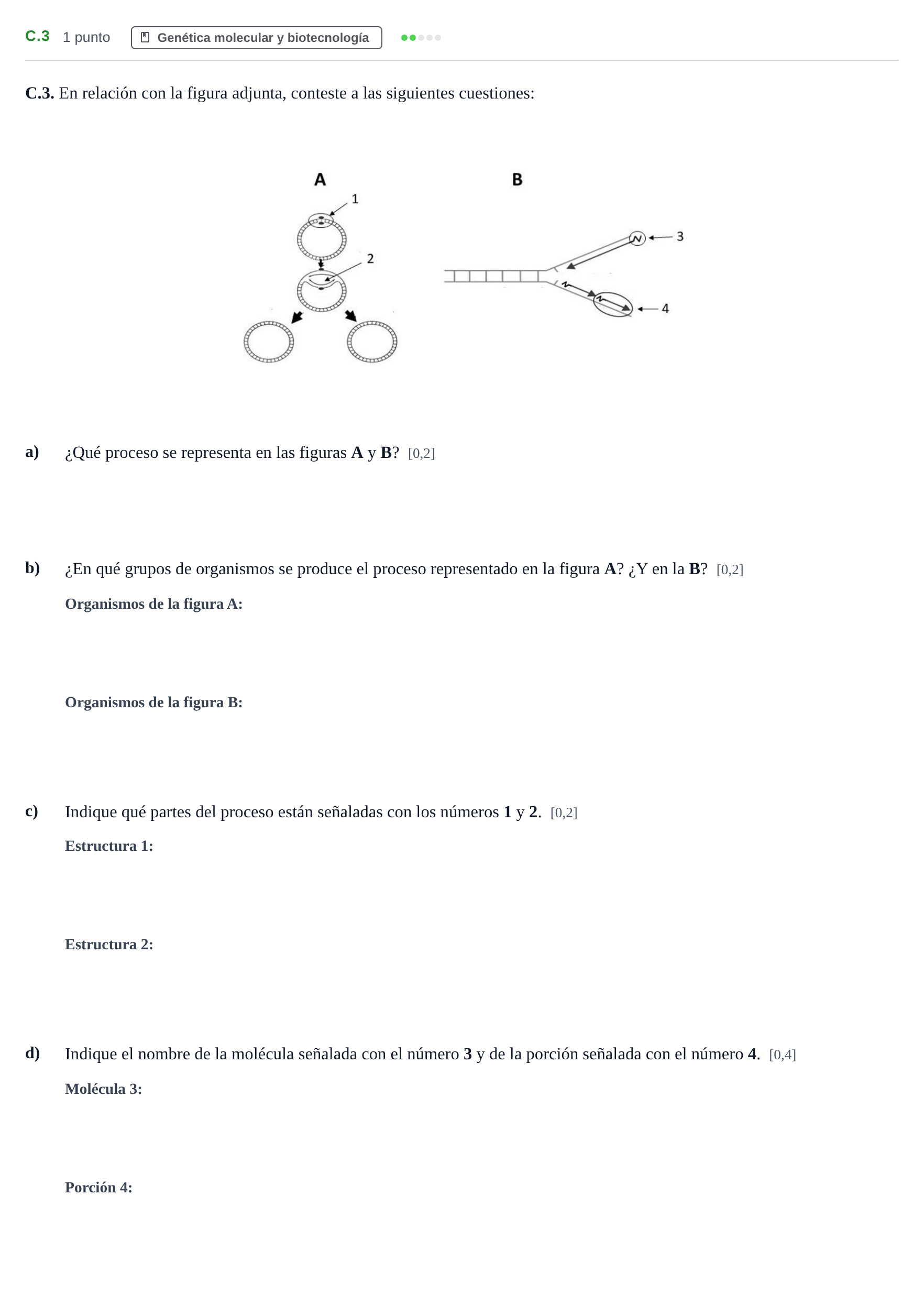 Enunciado: Ejercicio C.3 · Biología PAU Andalucía Examen 1 2020