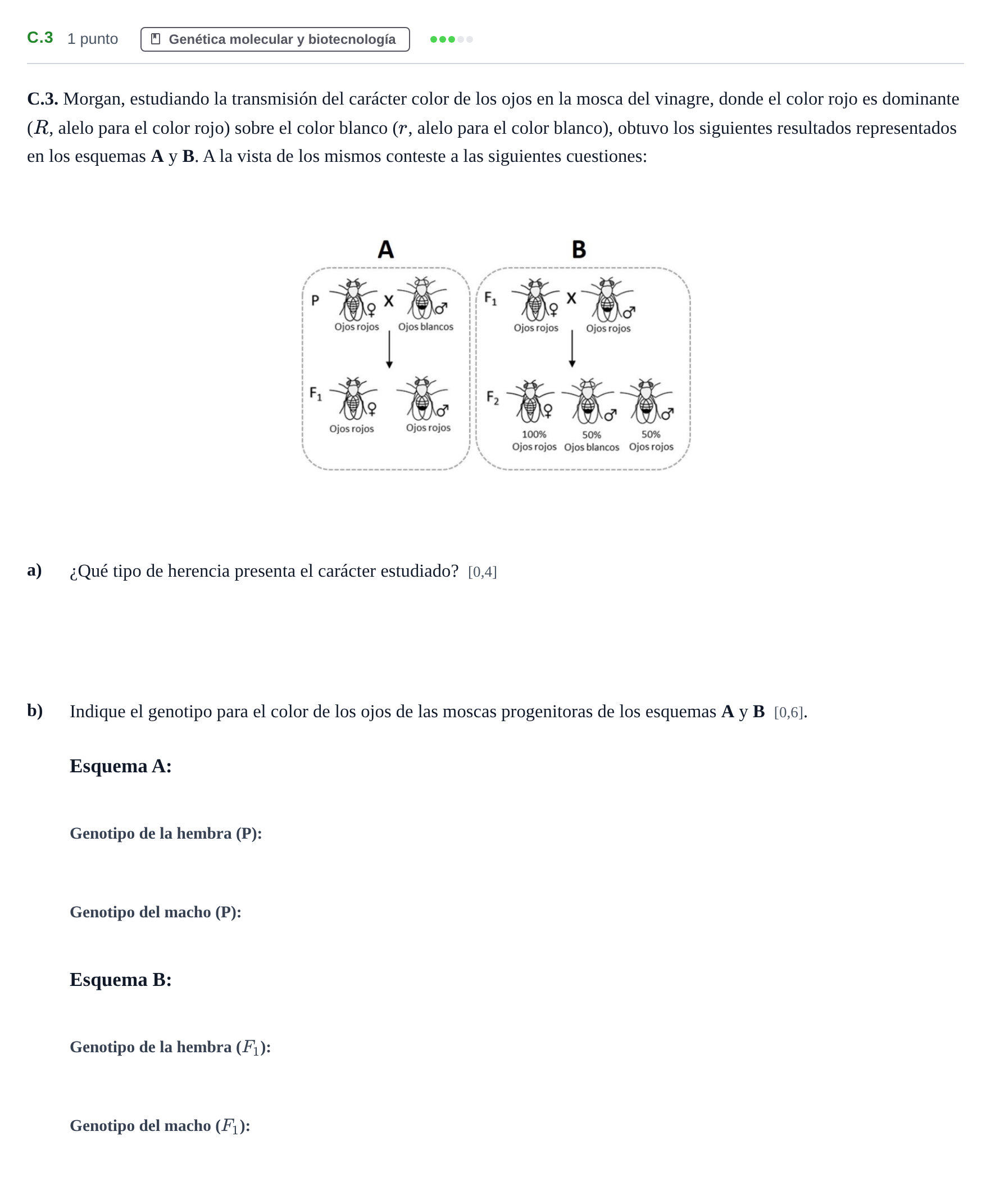 Enunciado: Ejercicio C.3 · Biología PAU Andalucía Examen 4 2020