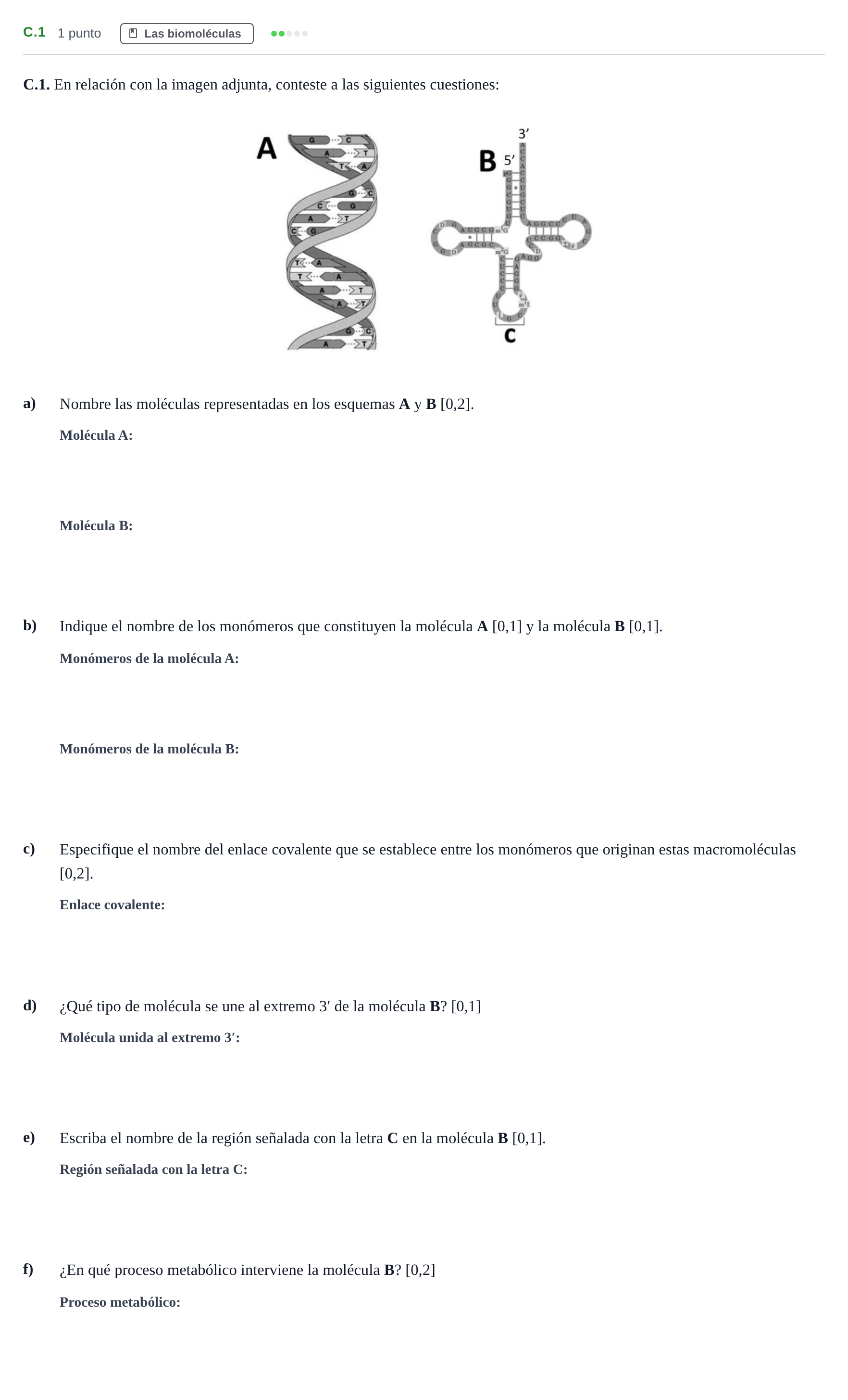 Enunciado: Ejercicio C.1 · Biología PAU Andalucía Examen 6 2020
