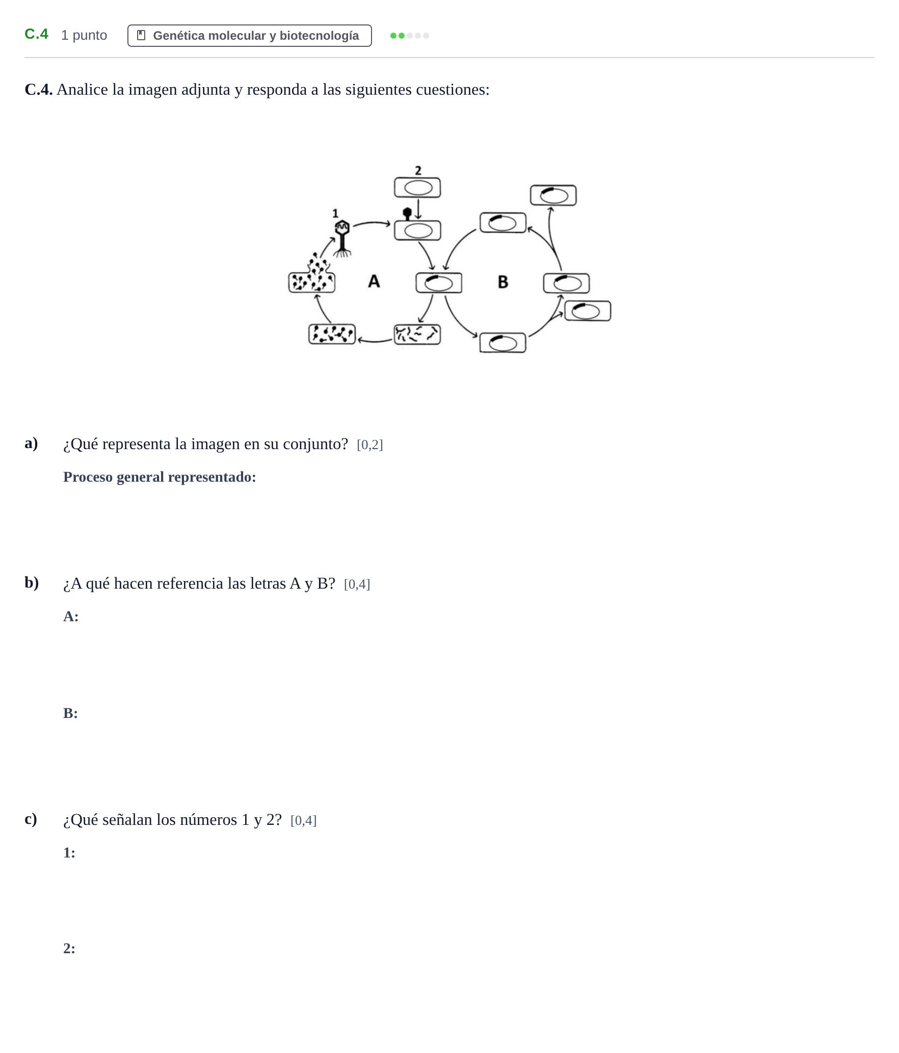 Enunciado: Ejercicio C.4 · Biología PAU Andalucía Examen 6 2020