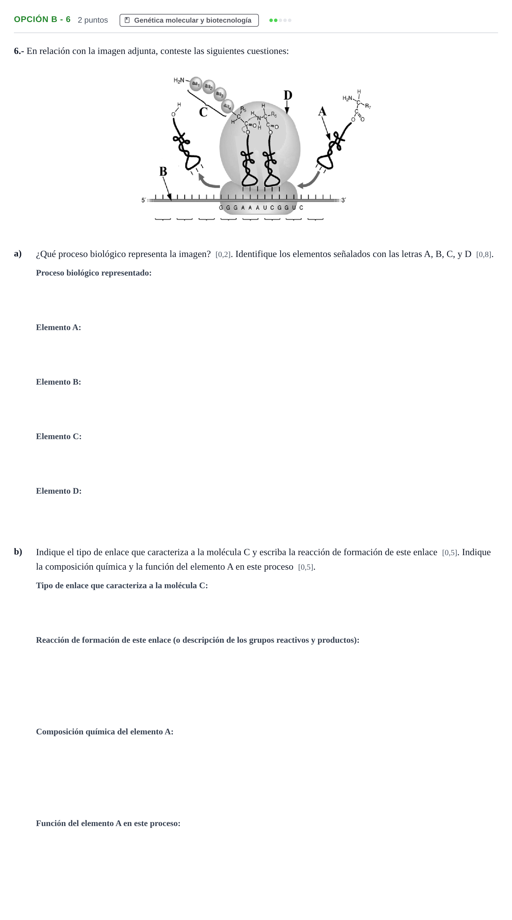 Enunciado: Opción B - 6 · Biología PAU Andalucía Ordinaria Reserva B 2013